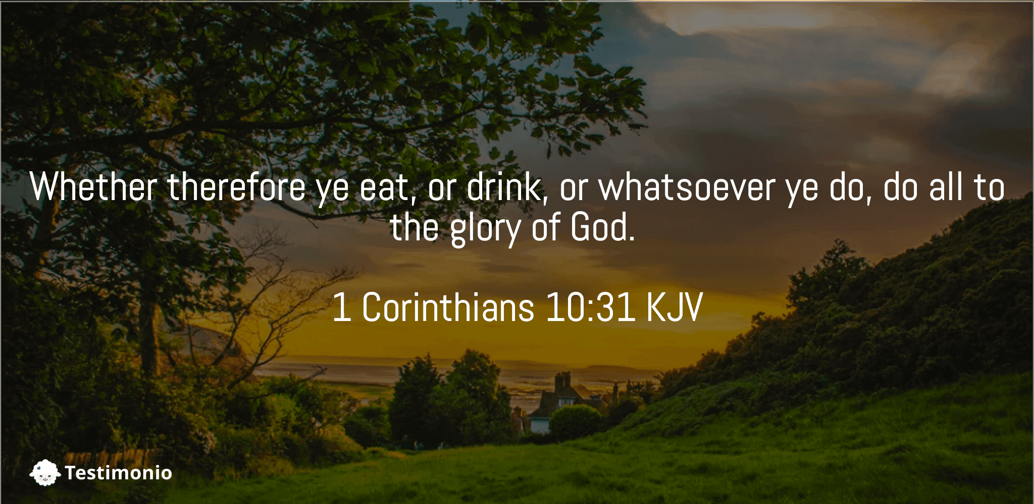 1 Corinthians 10:31