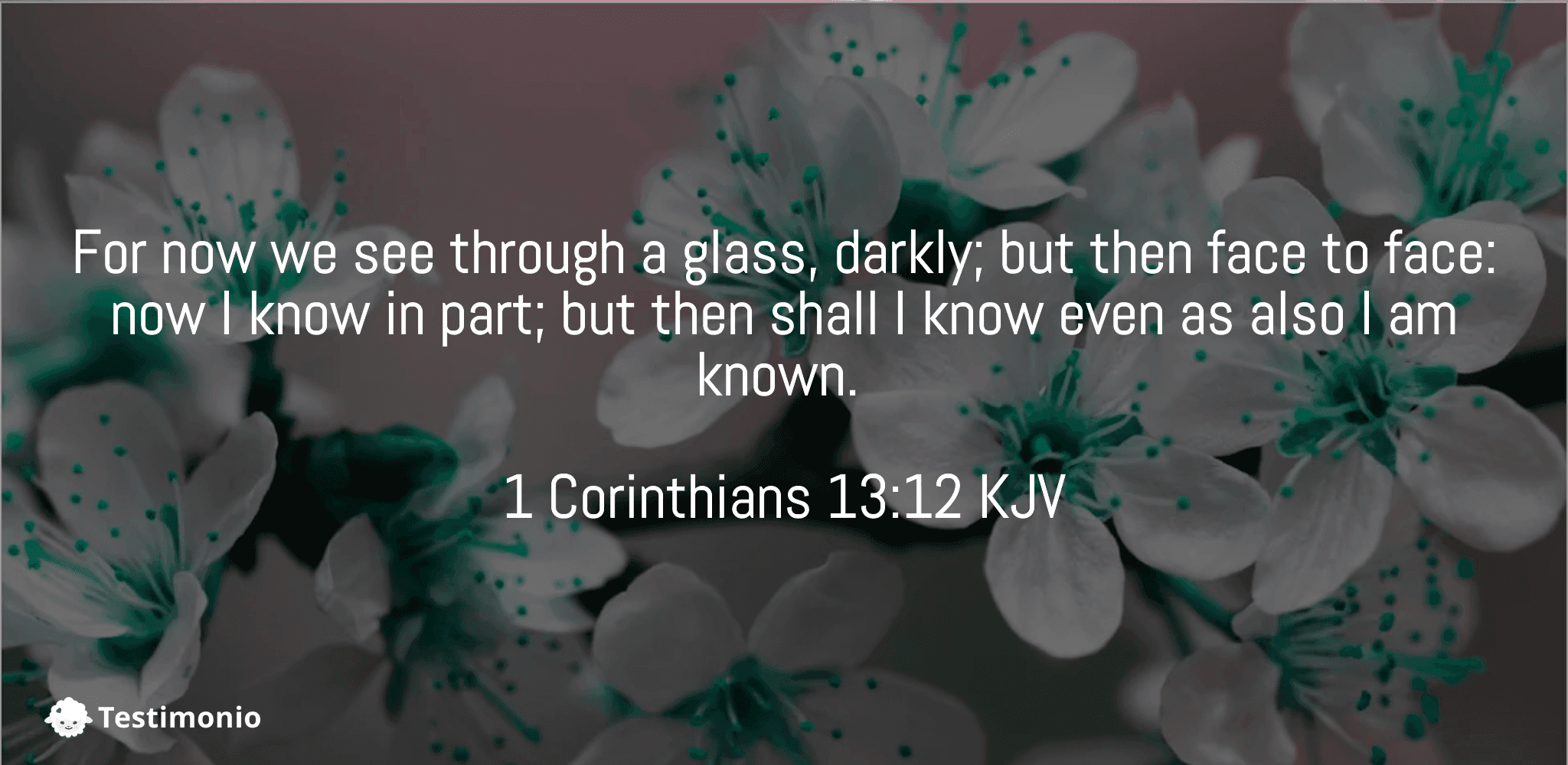 1 Corinthians 13:12