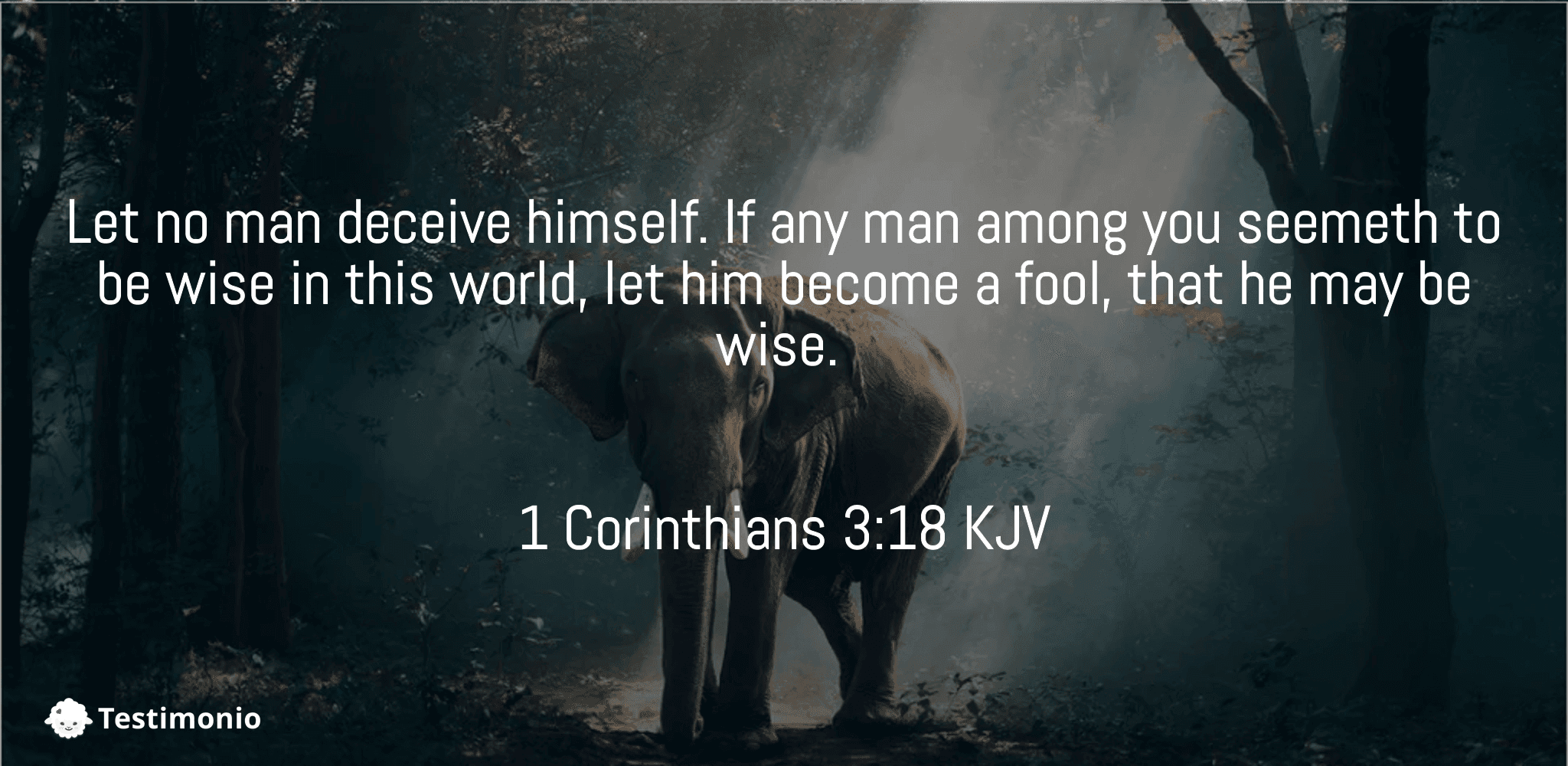 1 Corinthians 3:18
