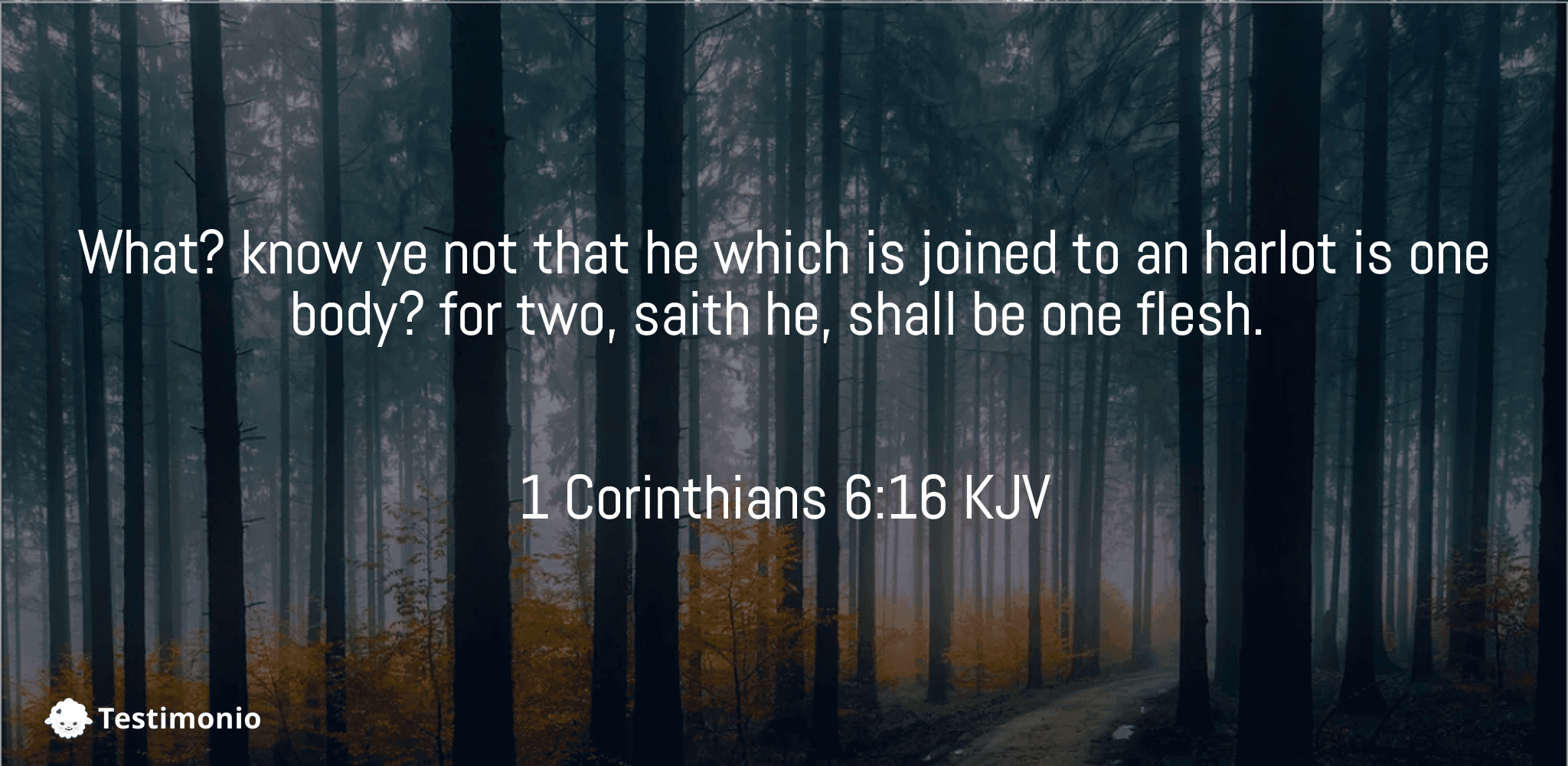 1 Corinthians 6:16