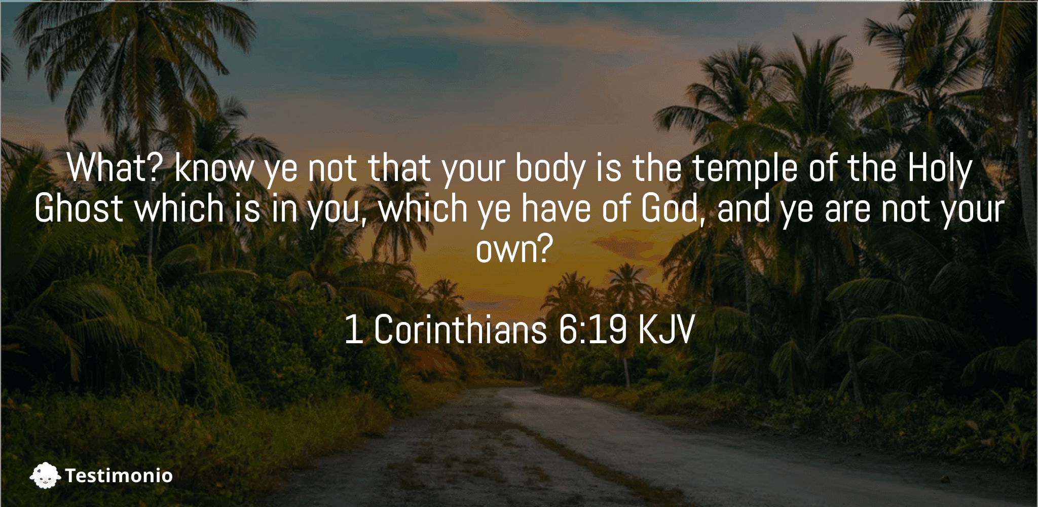 1 Corinthians 6:19