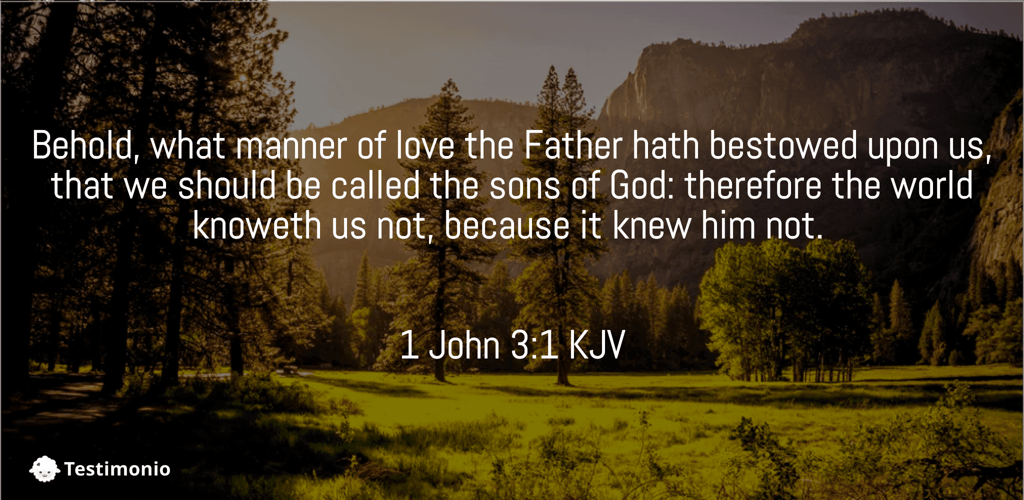 1 John 3:1