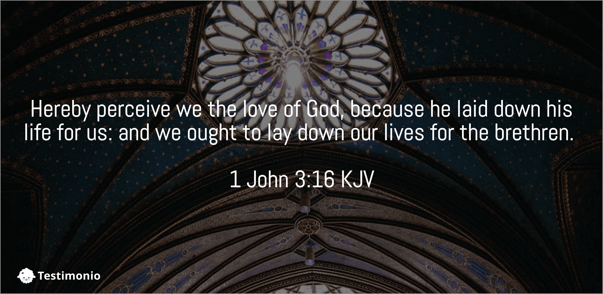 1 John 3:16