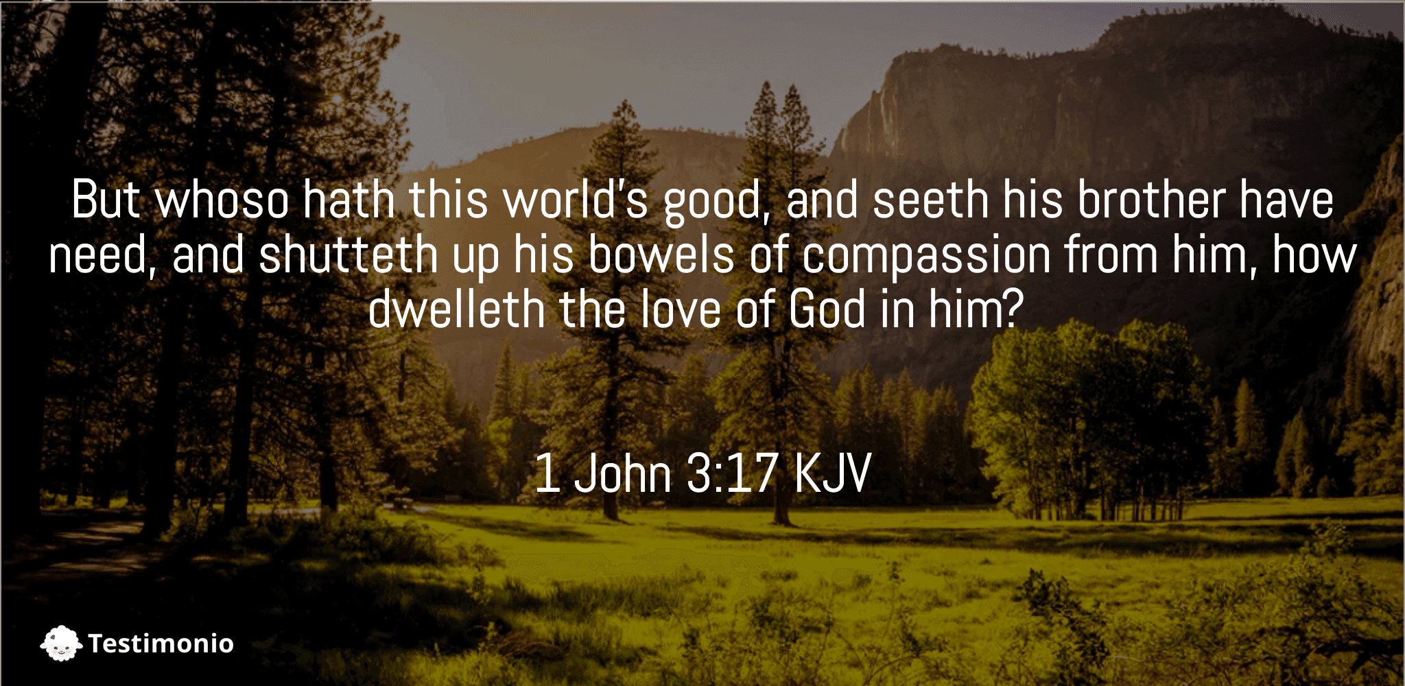 1 John 3:17