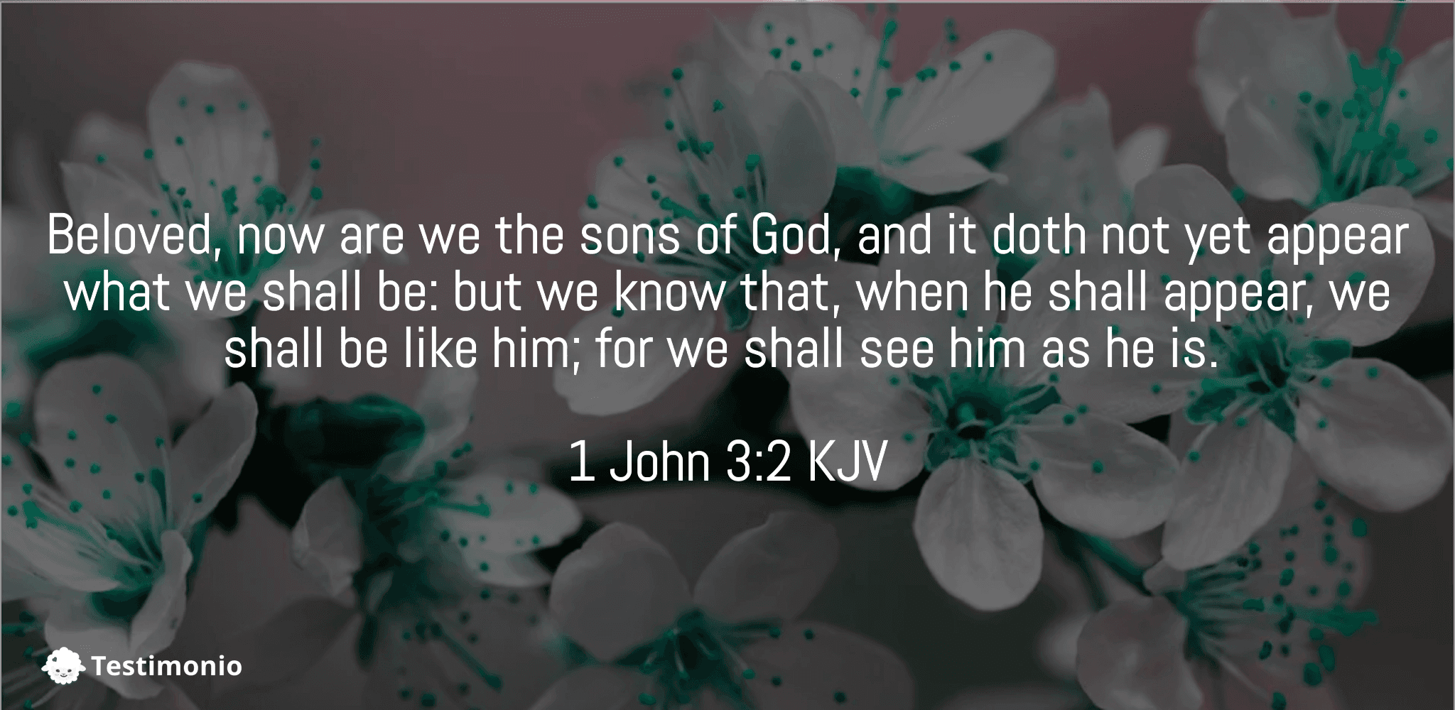 1 John 3:2