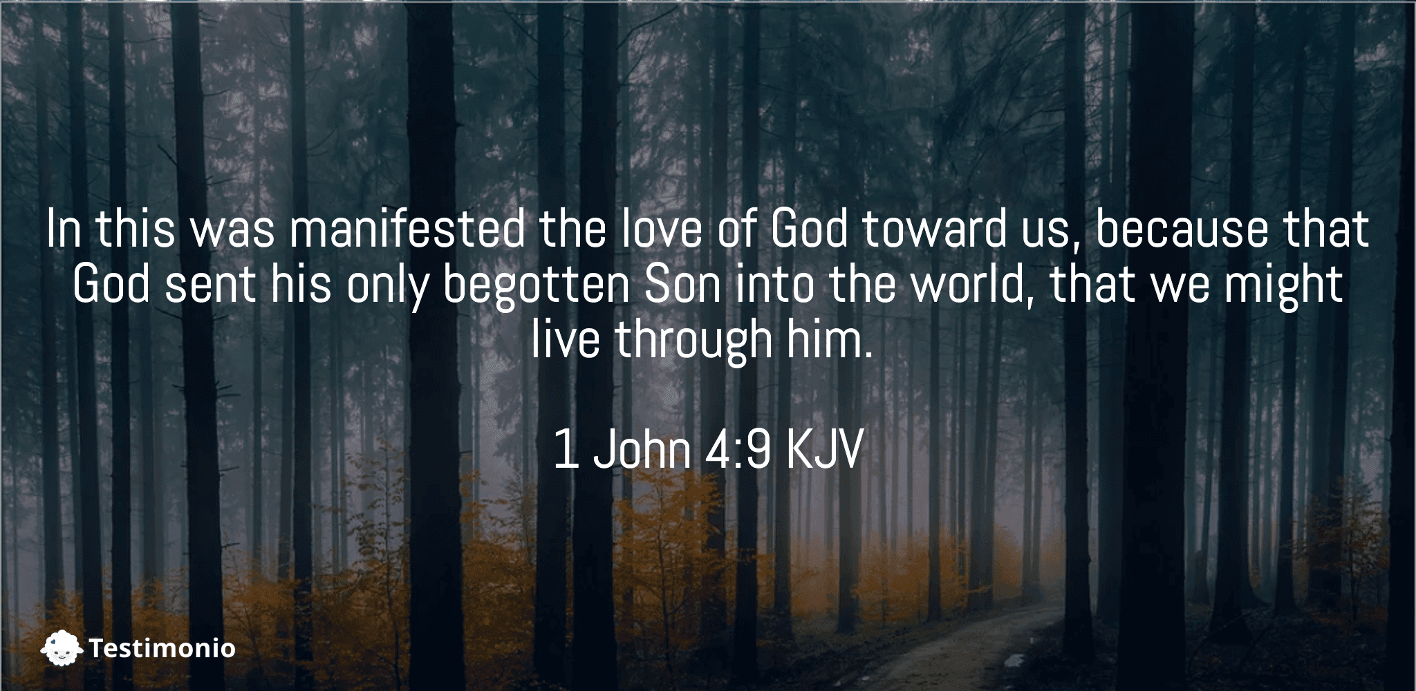 1 John 4:9