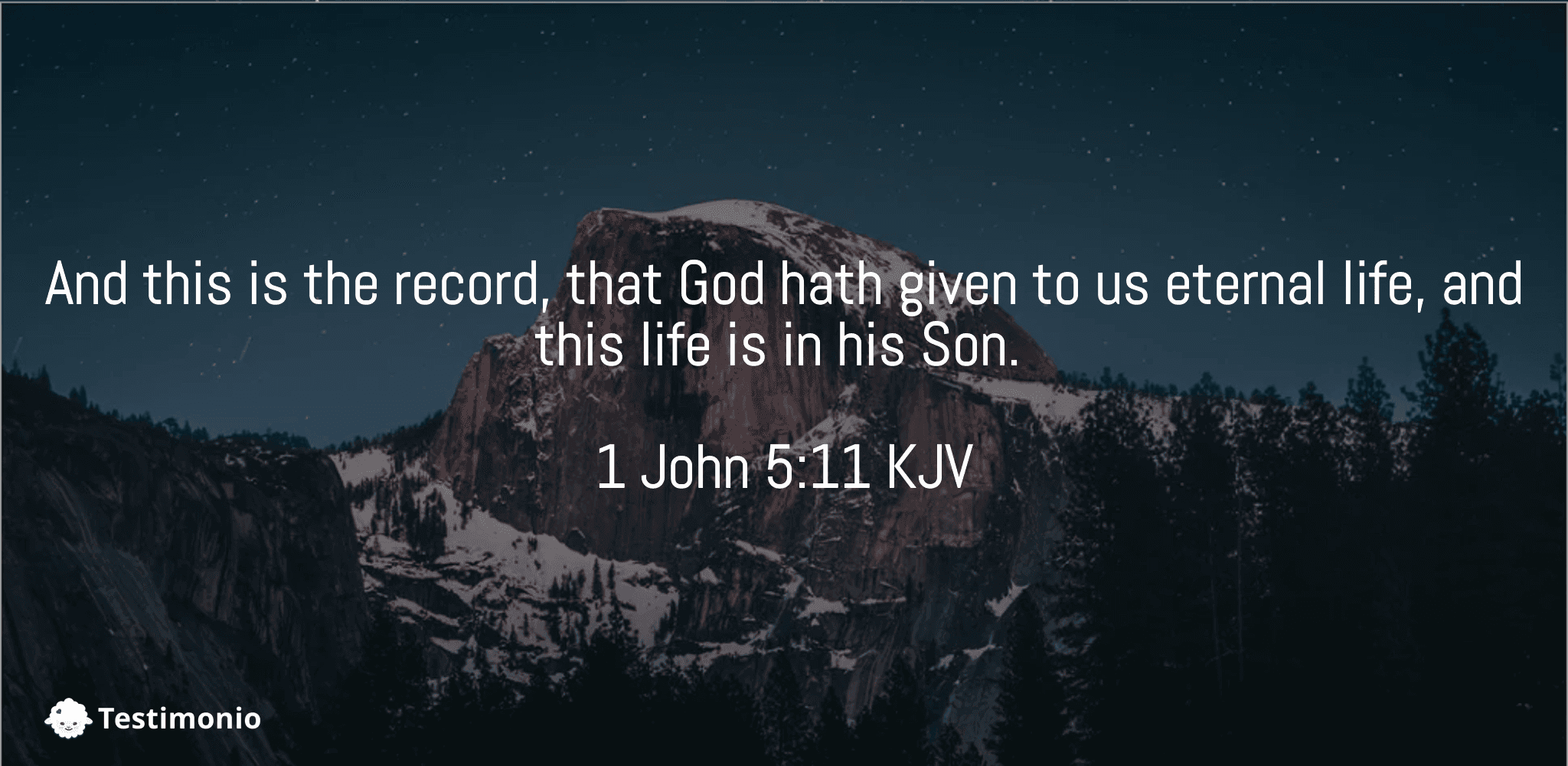 1 John 5:11