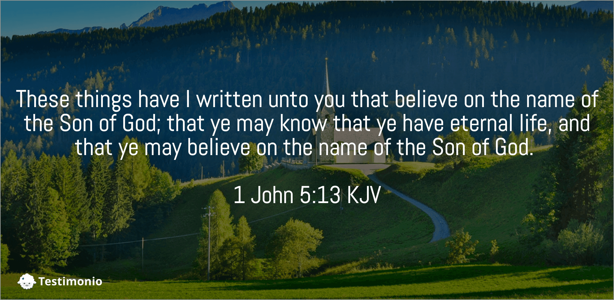 1 John 5:13