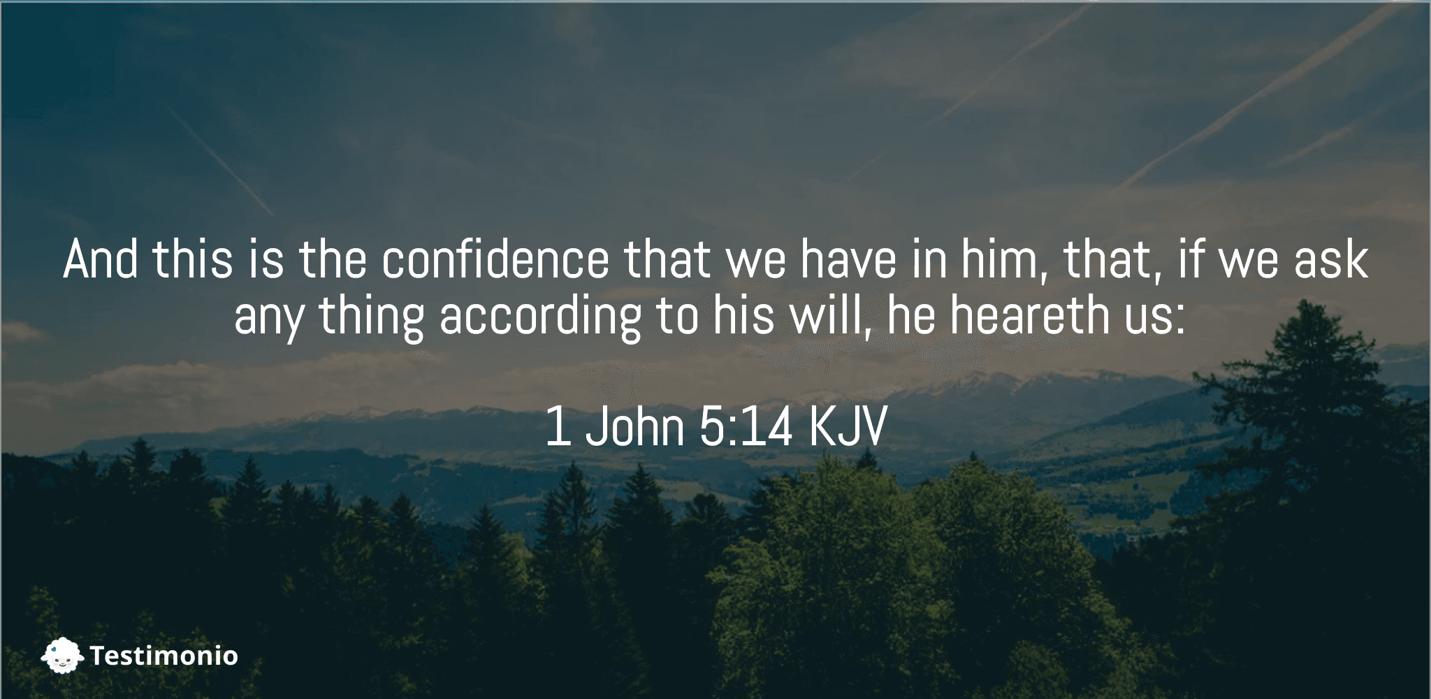 1 John 5:14