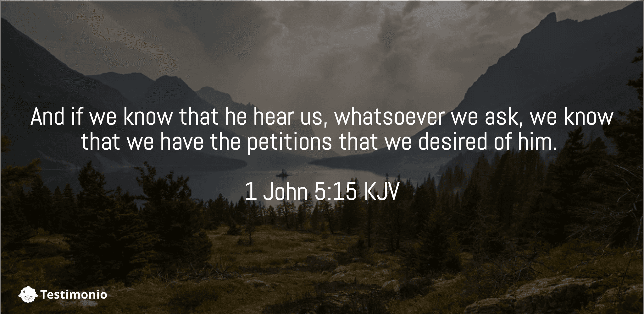 1 John 5:15