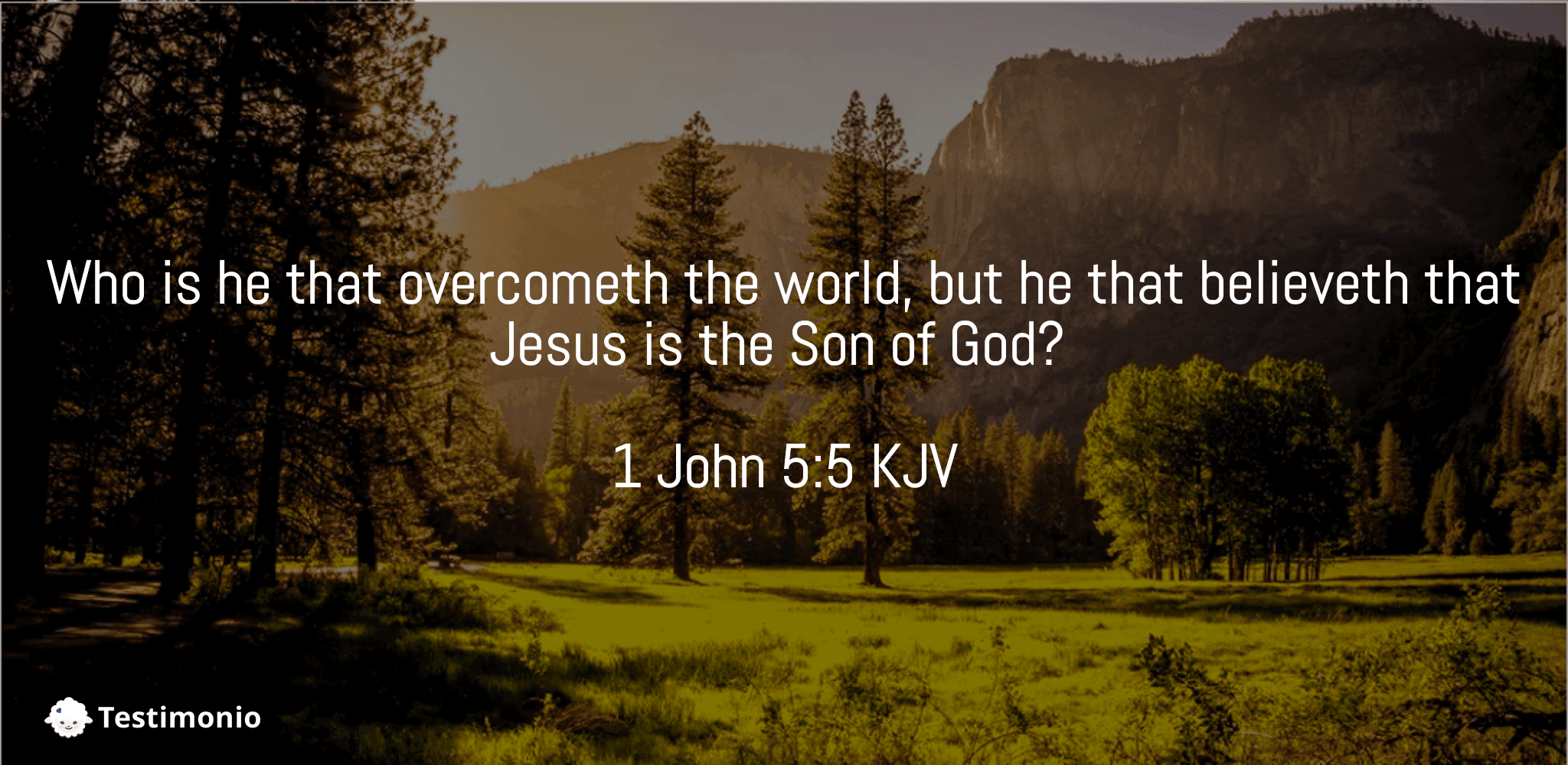 1 John 5:5