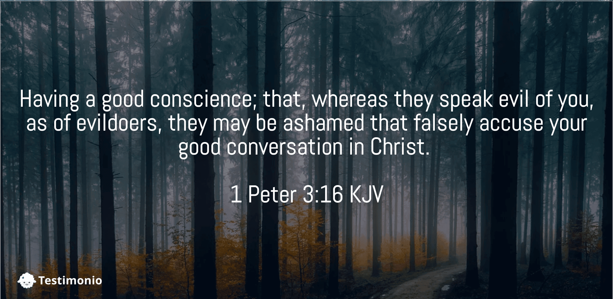 1 Peter 3:16