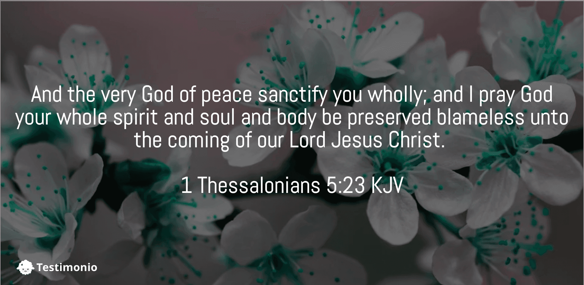 1 Thessalonians 5:23