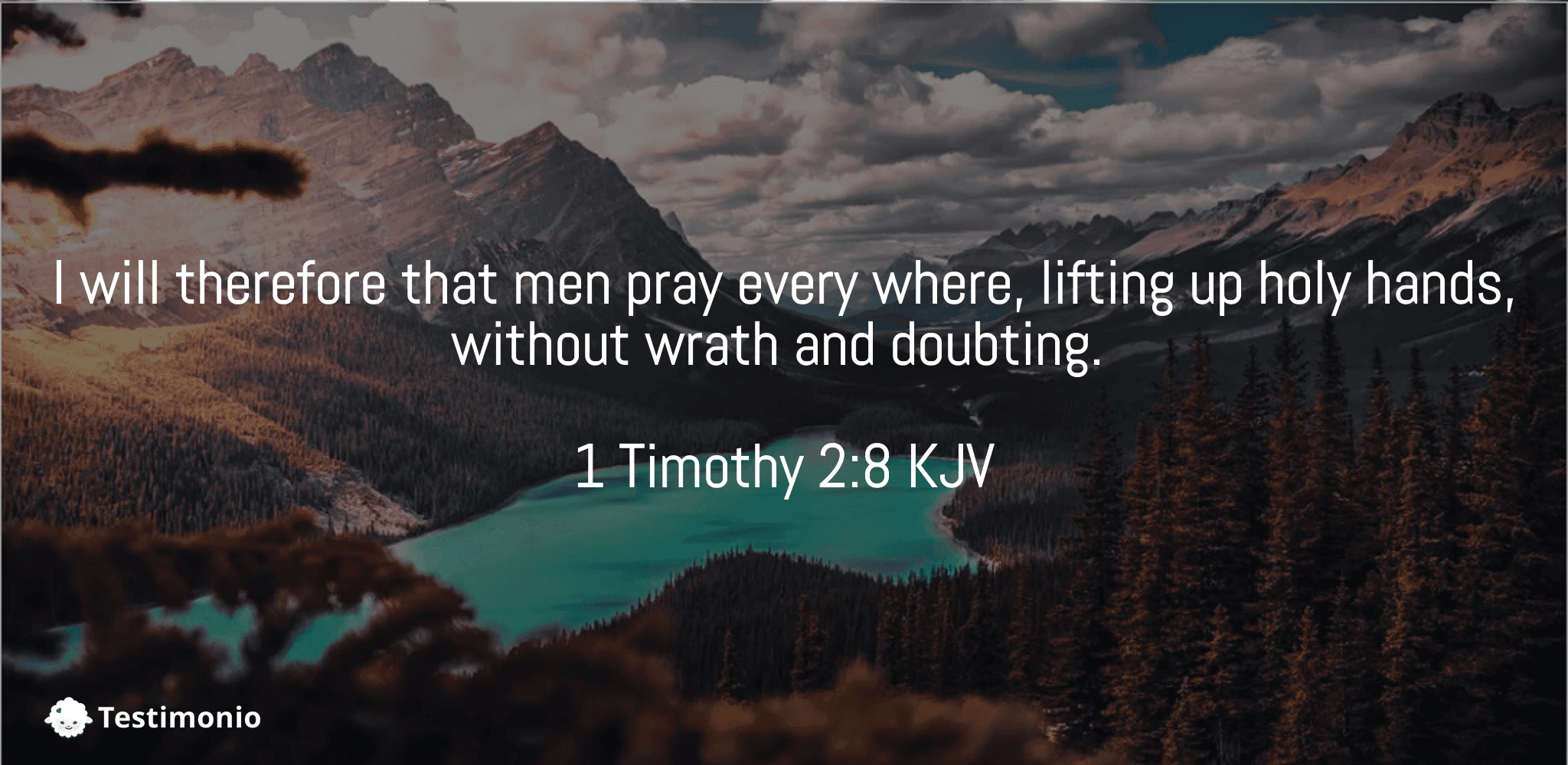 1 Timothy 2:8