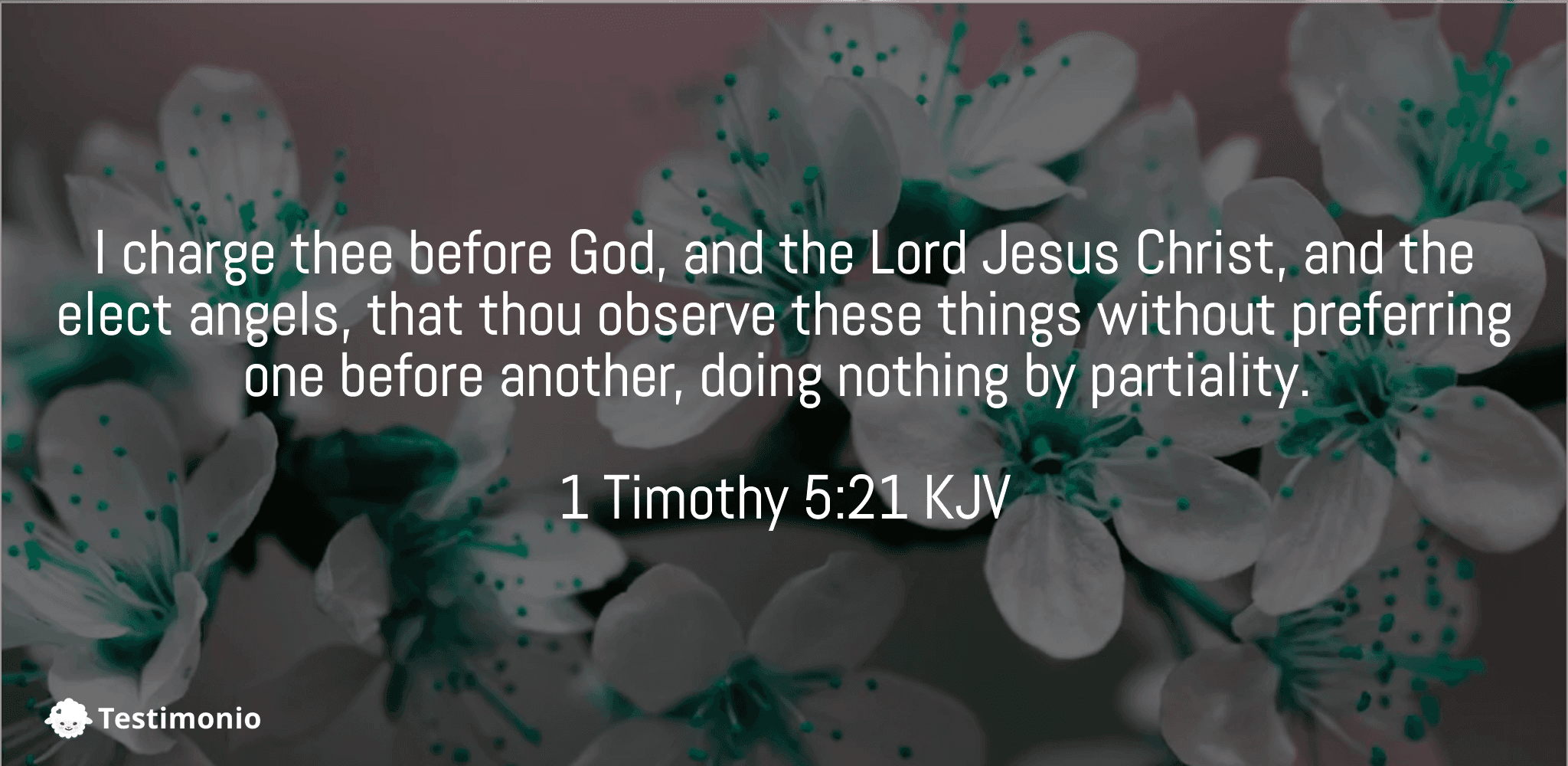 1 Timothy 5:21