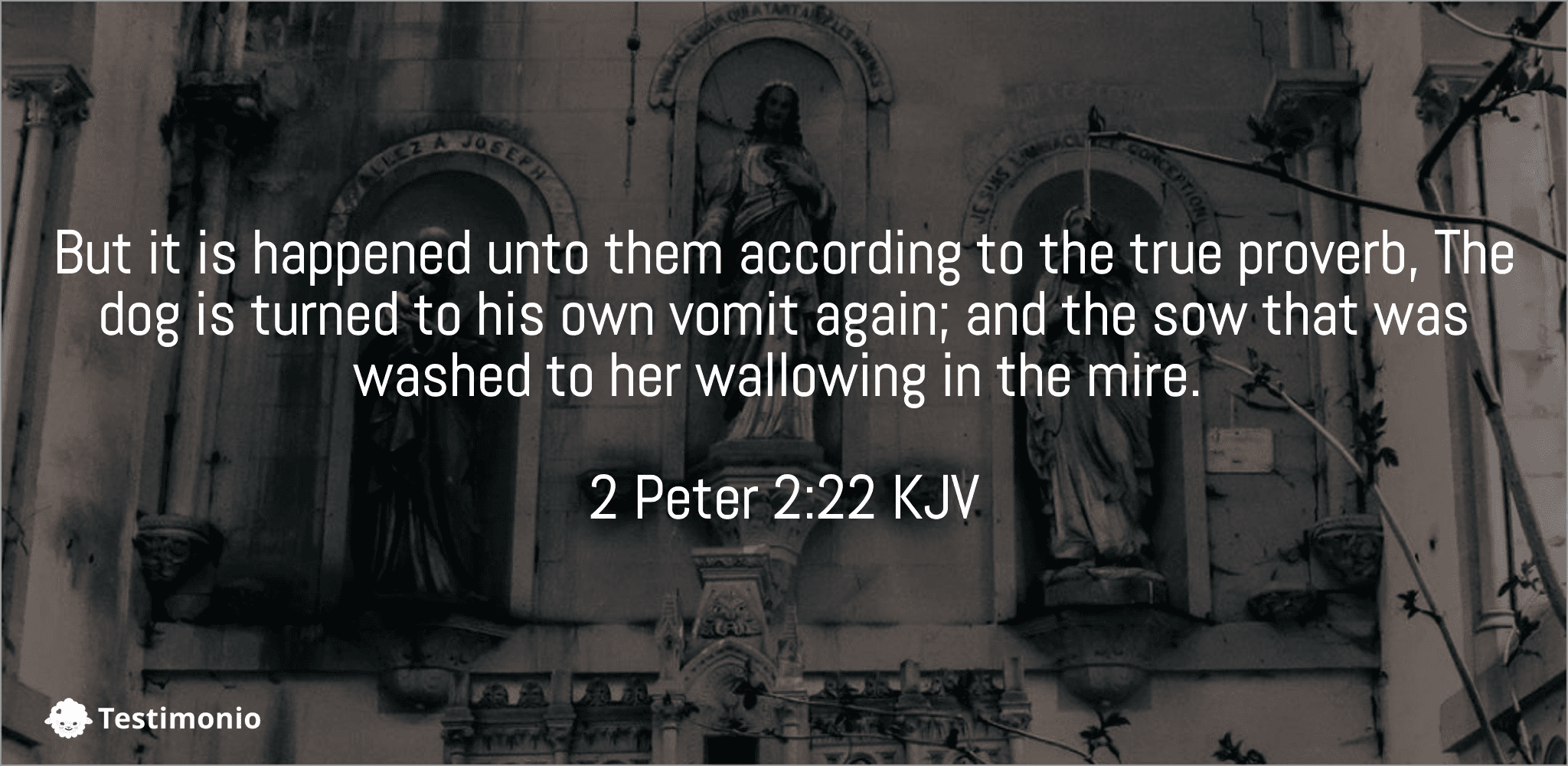 2 Peter 2:22