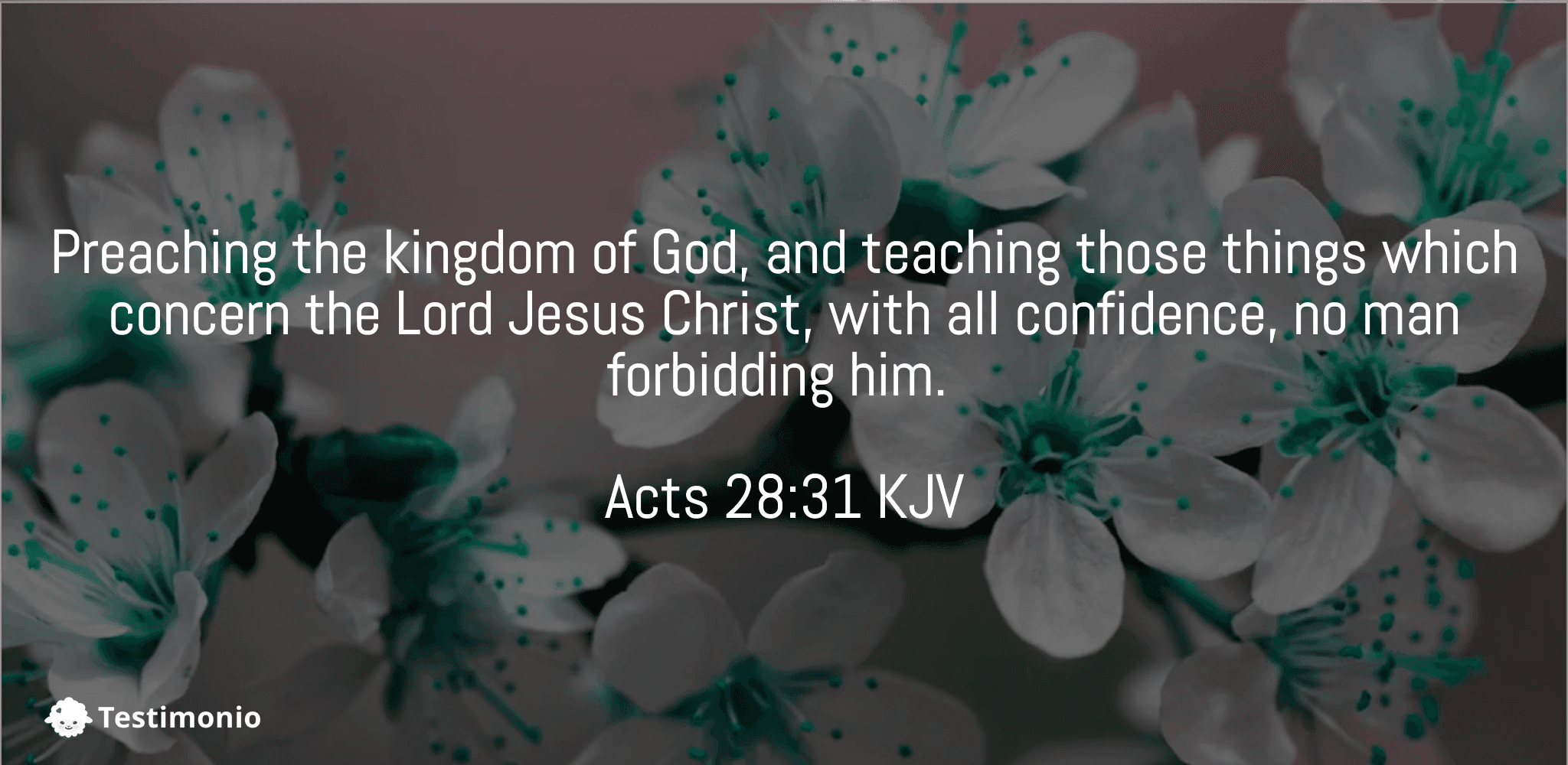 Acts 28:31