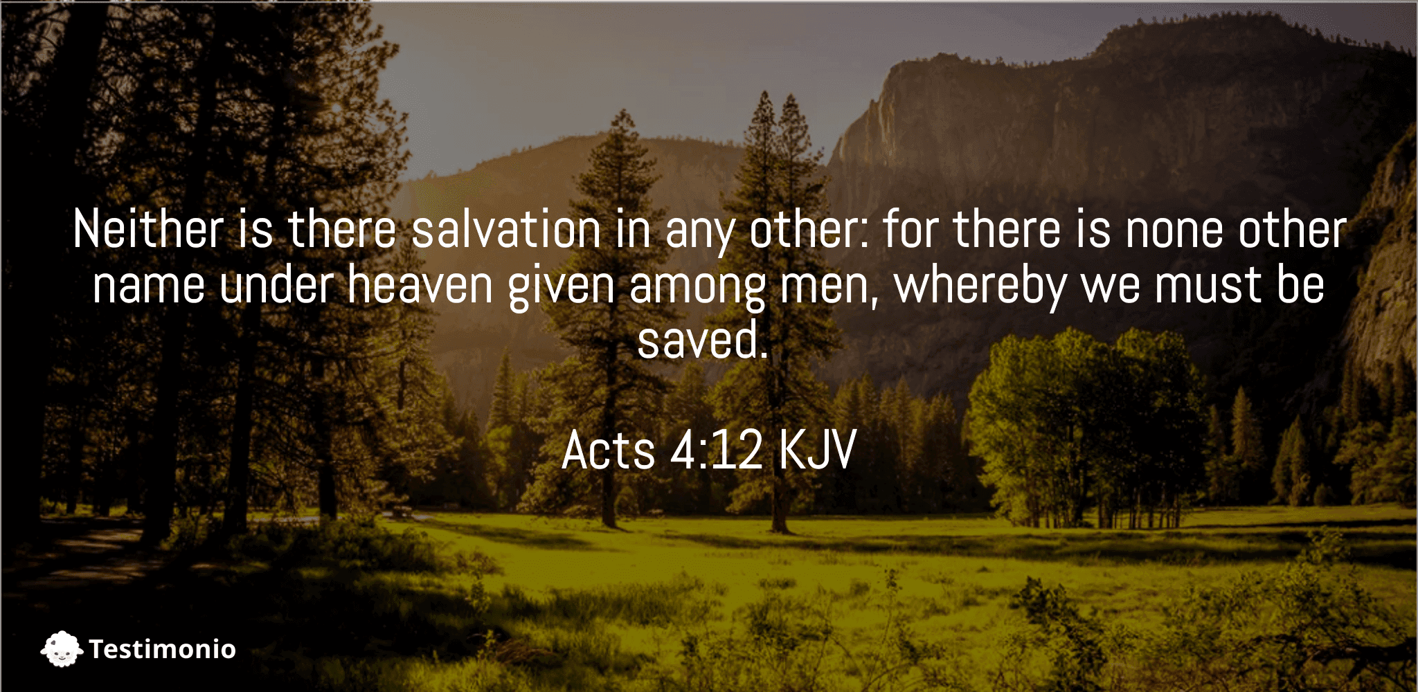 Acts 4:12