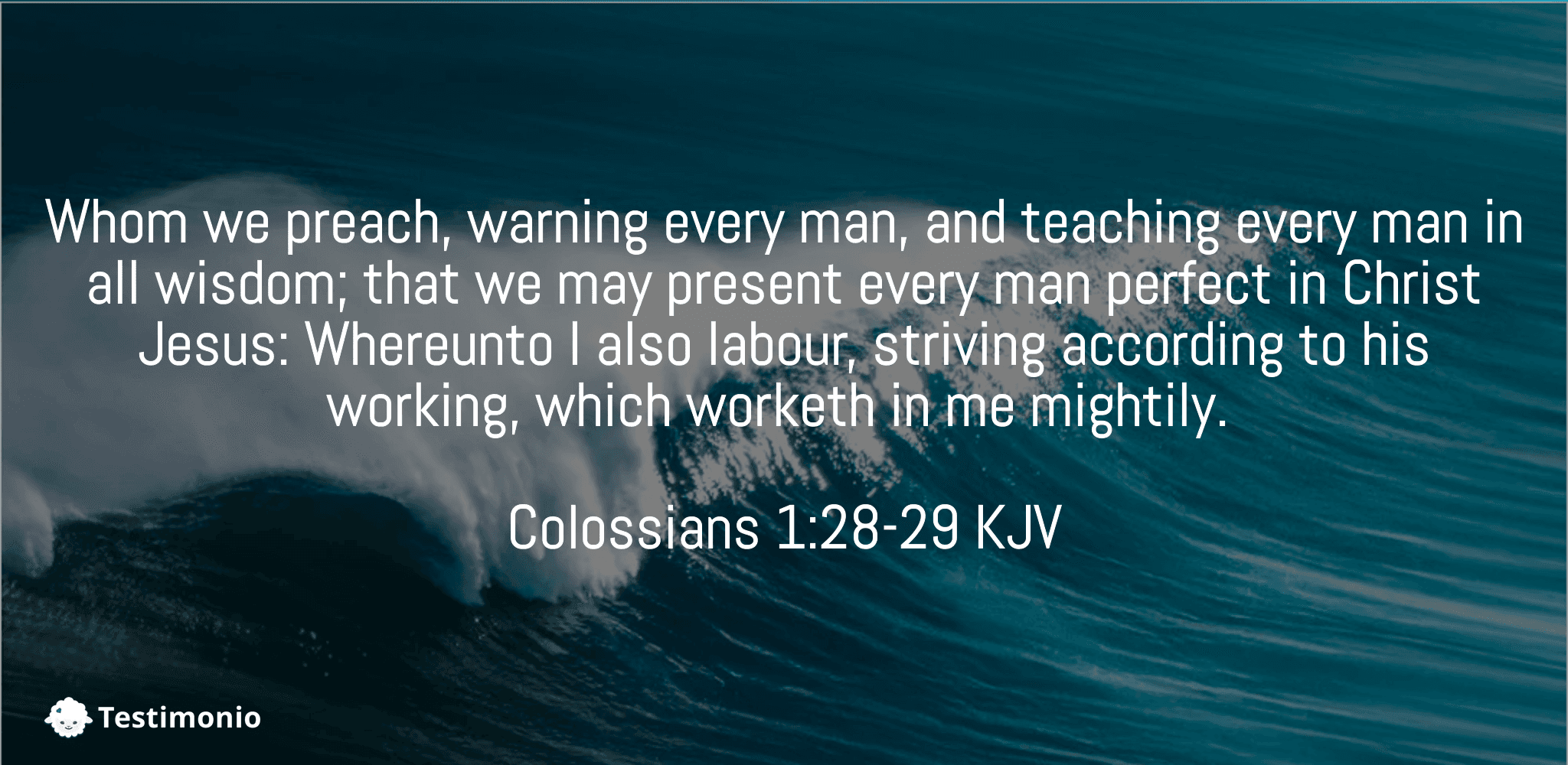Colossians 1:28-29