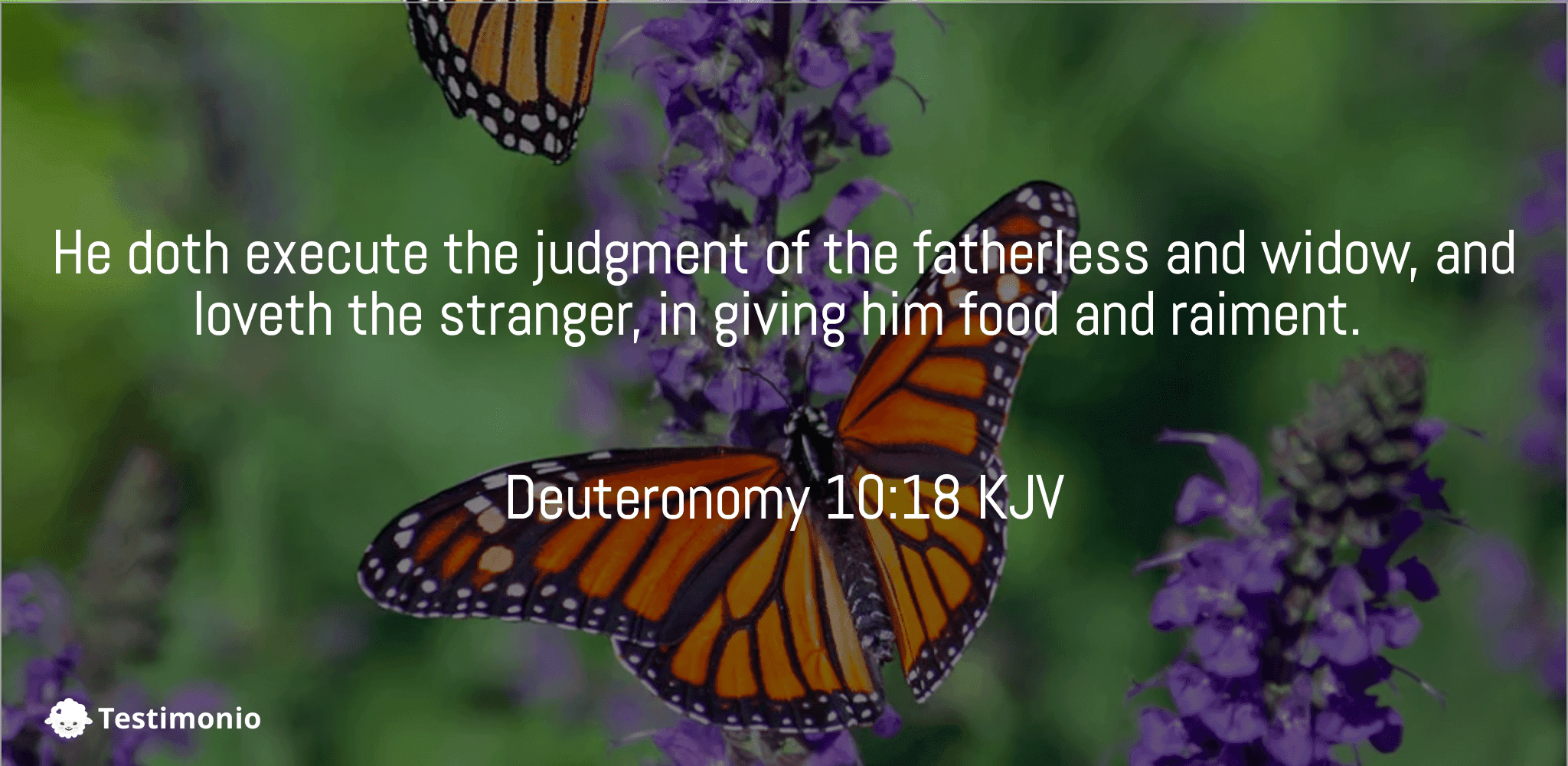 Deuteronomy 10:18