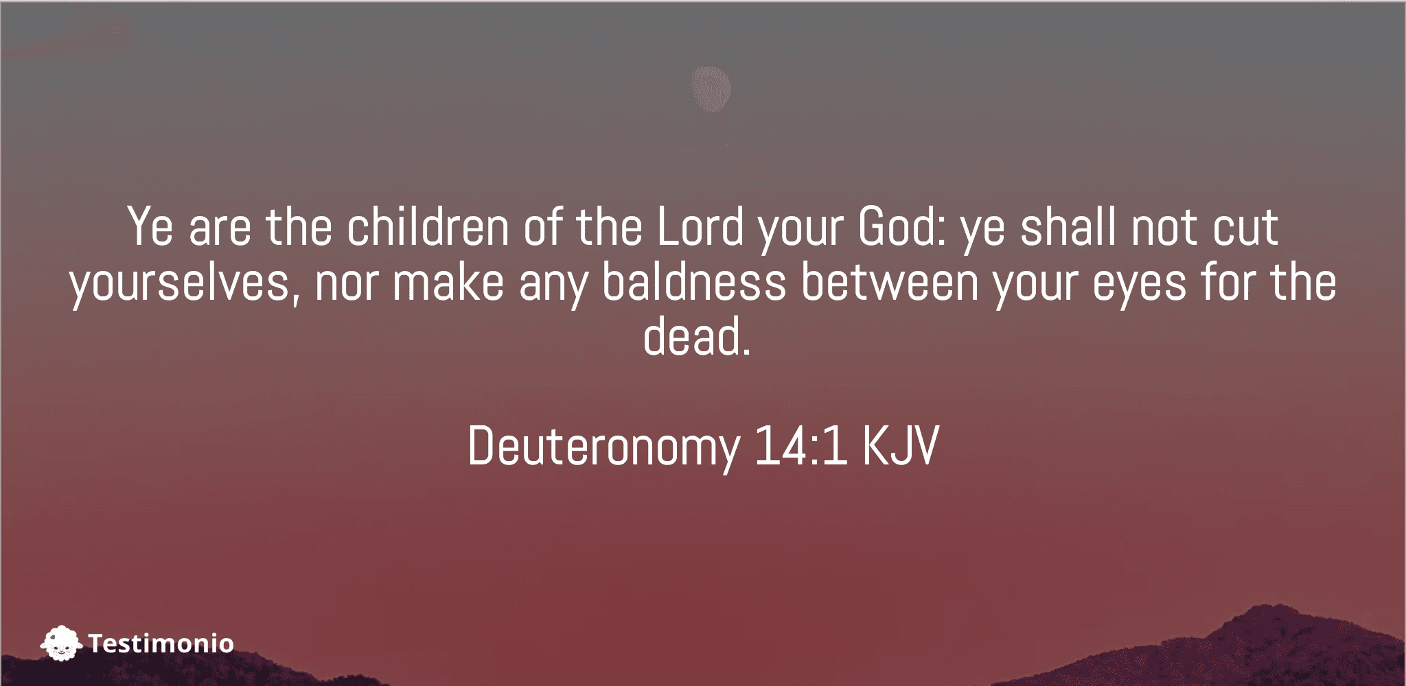 Deuteronomy 14:1