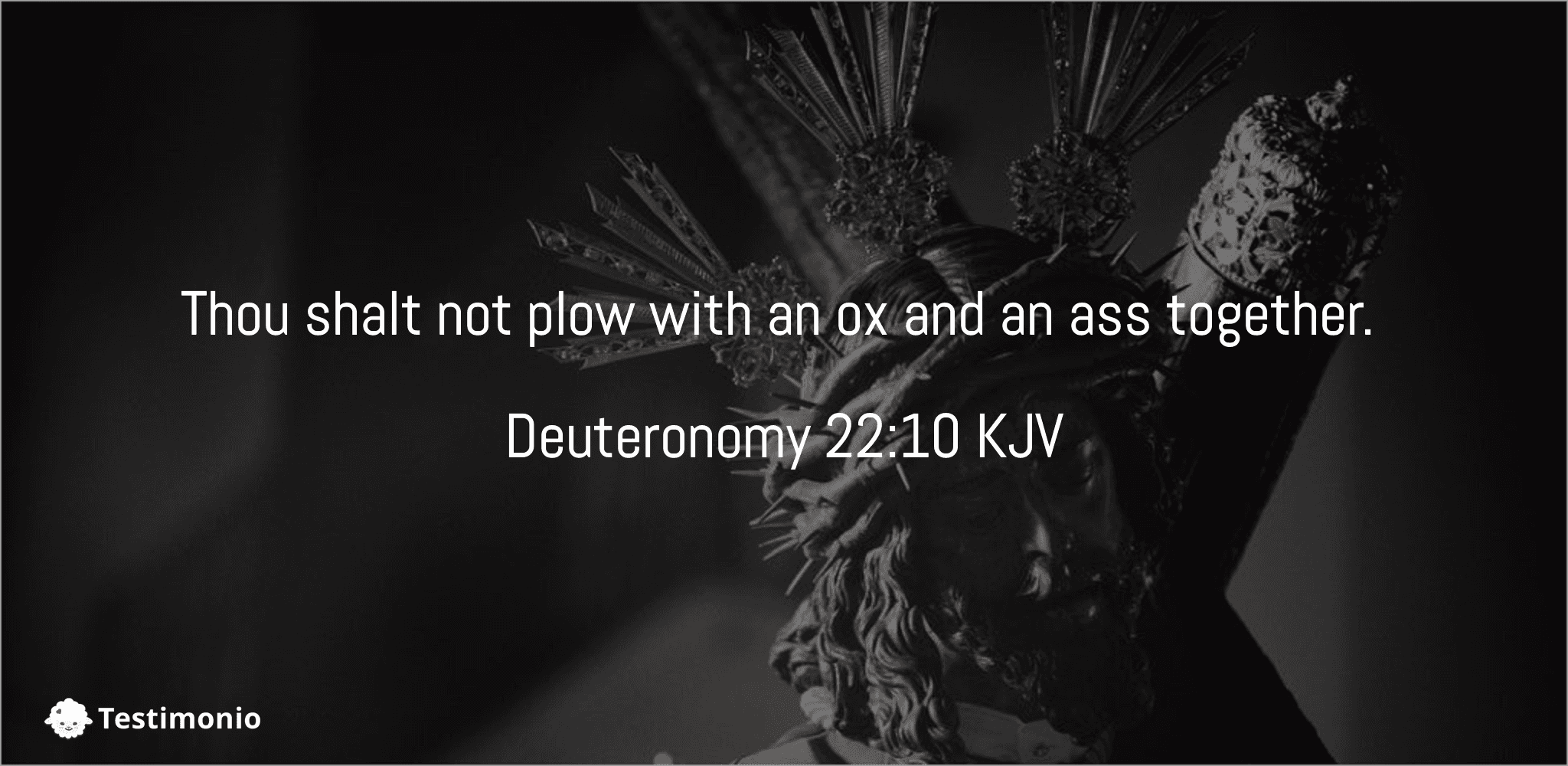 Deuteronomy 22:10