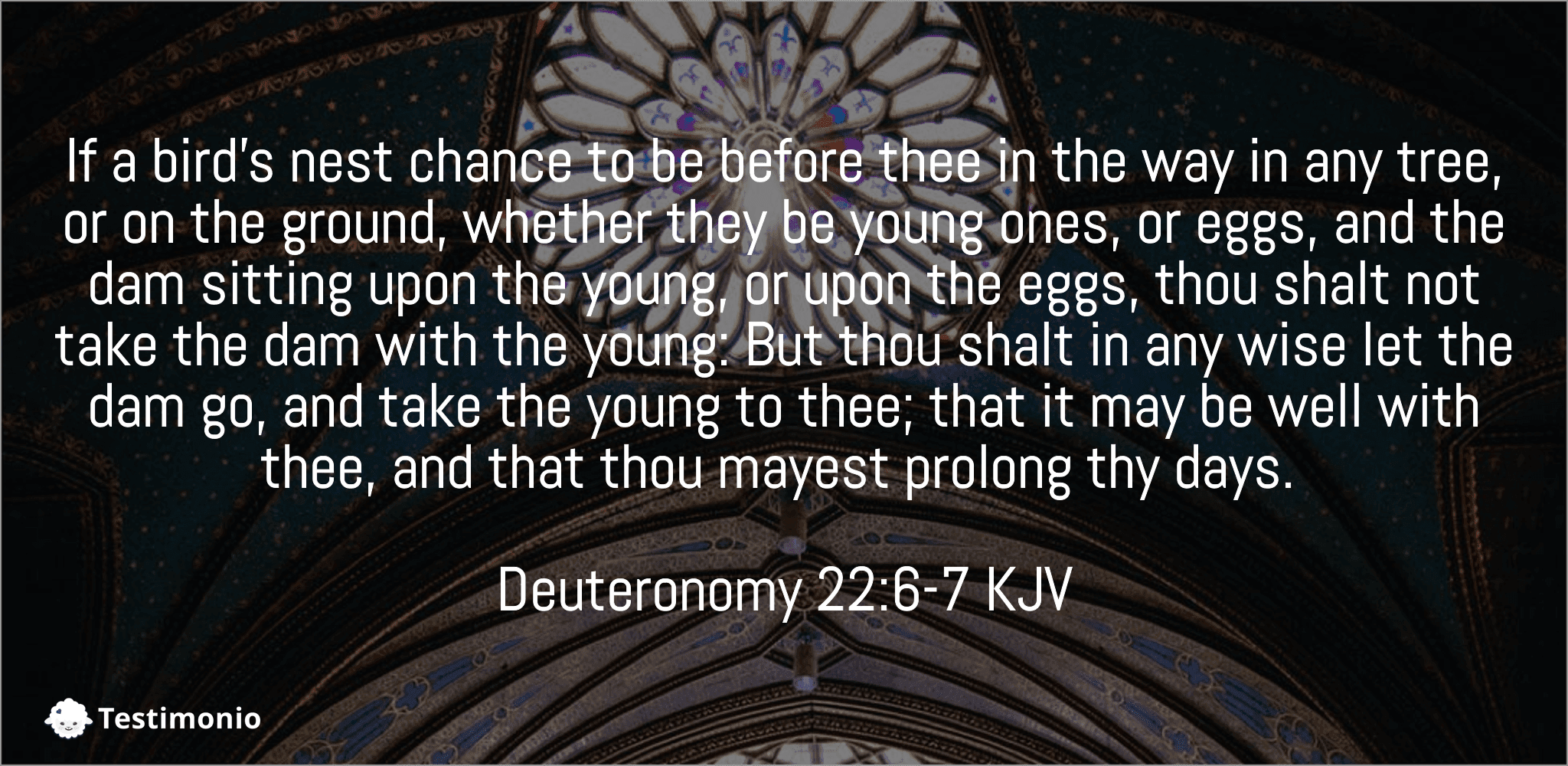 Deuteronomy 22:6-7