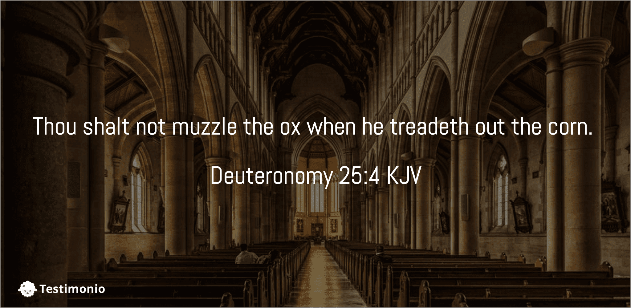 Deuteronomy 25:4