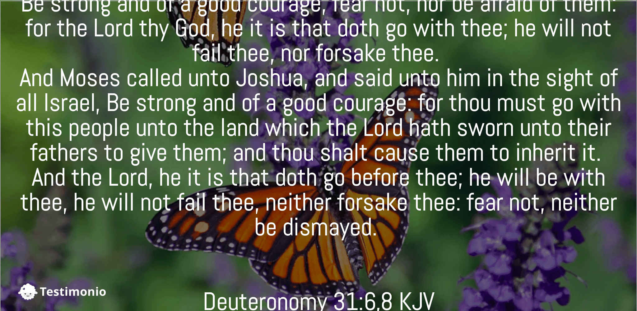 Deuteronomy 31:6,8