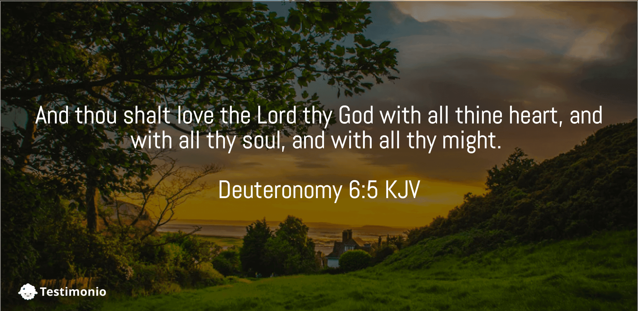 Deuteronomy 6:5