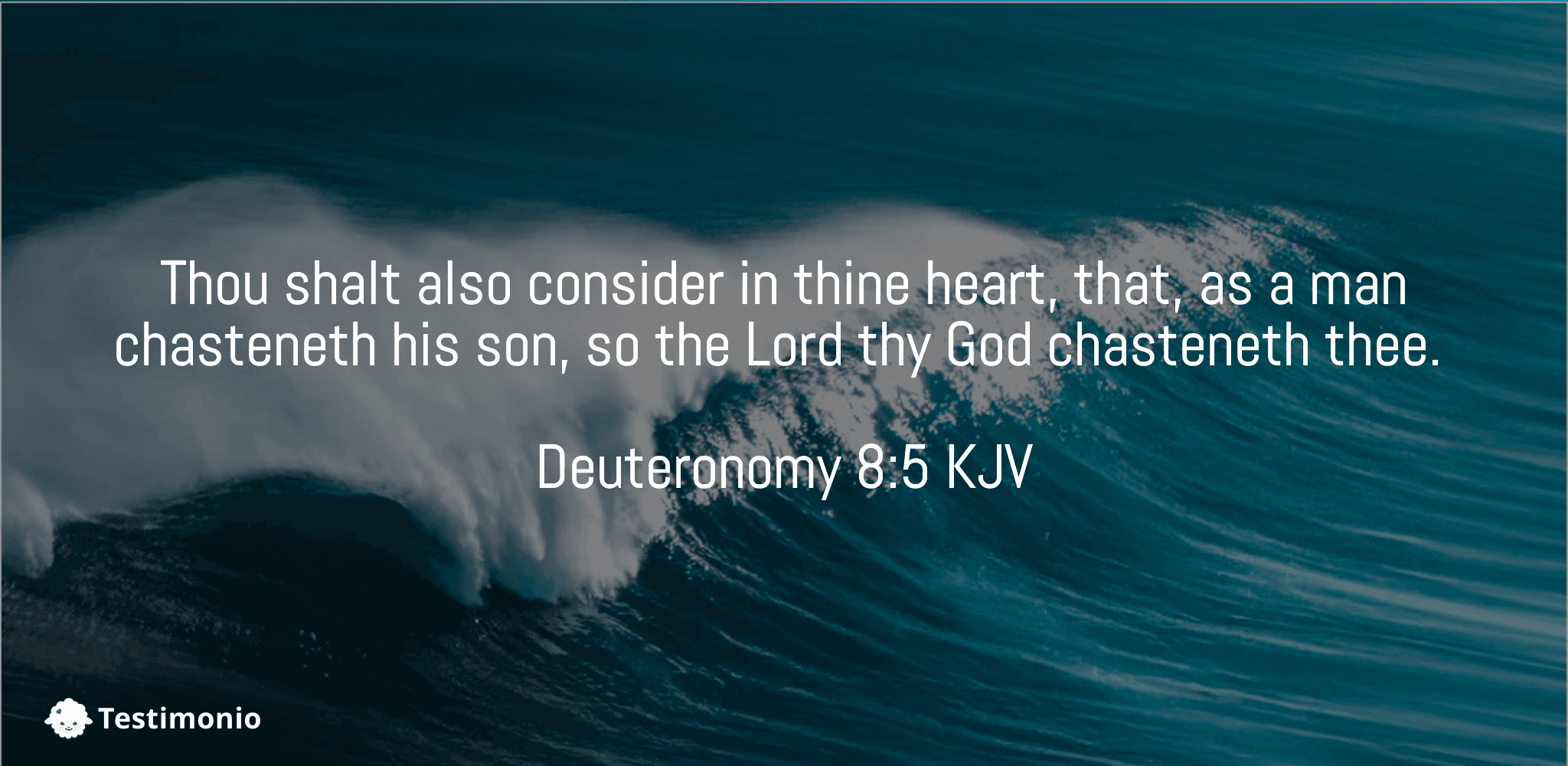Deuteronomy 8:5
