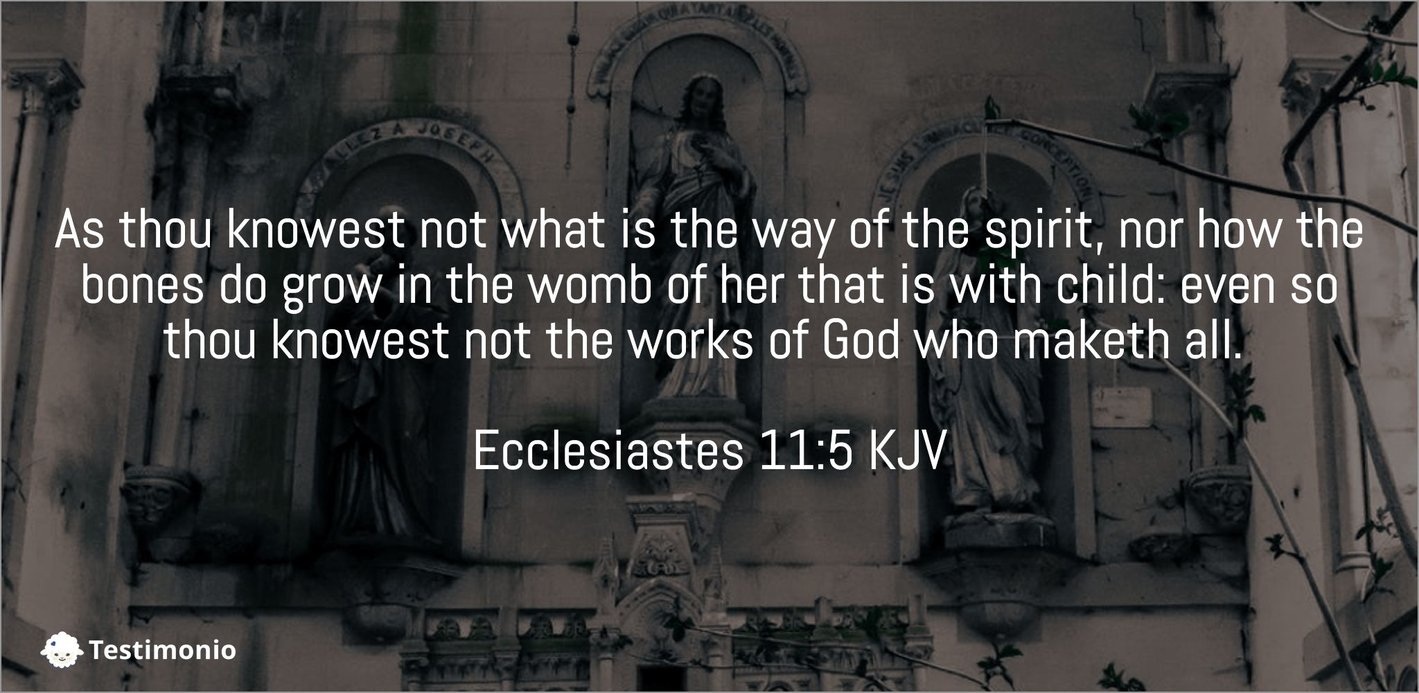 Ecclesiastes 11:5