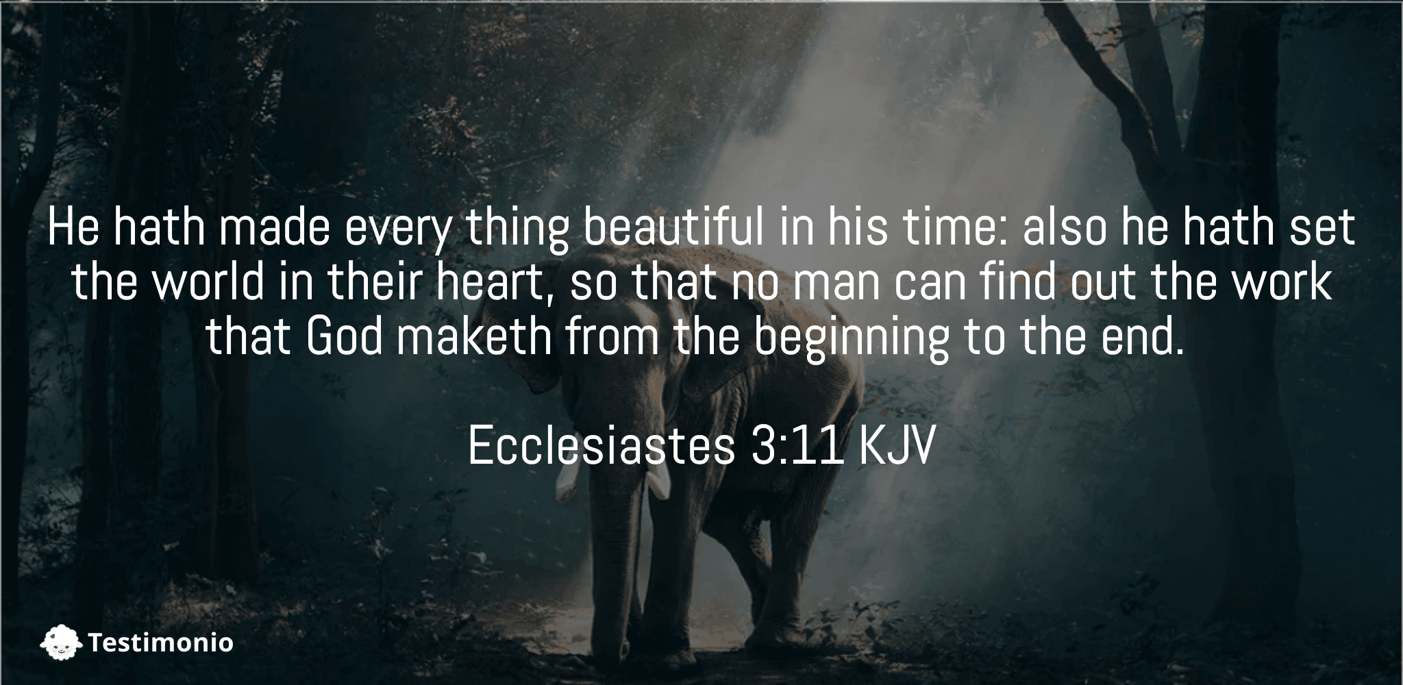 Ecclesiastes 3:11