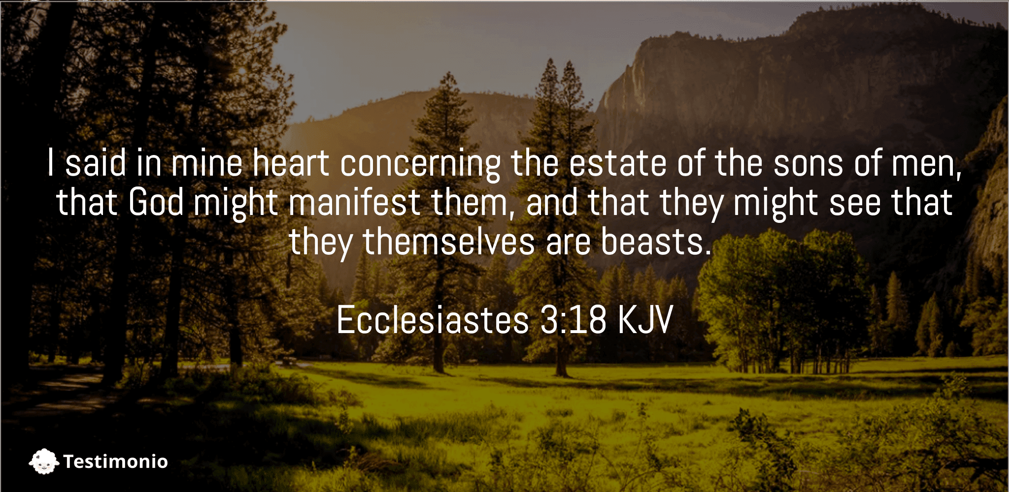 Ecclesiastes 3:18