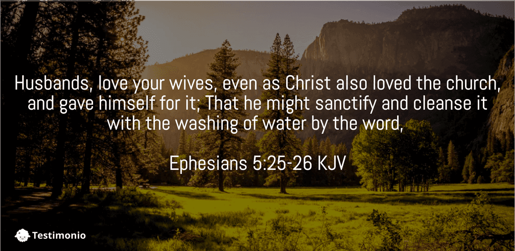 ephesians 5 25 29