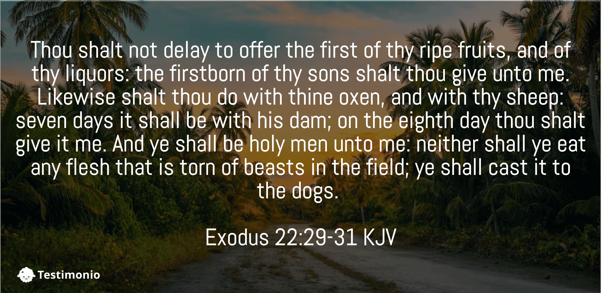 Exodus 22:29-31