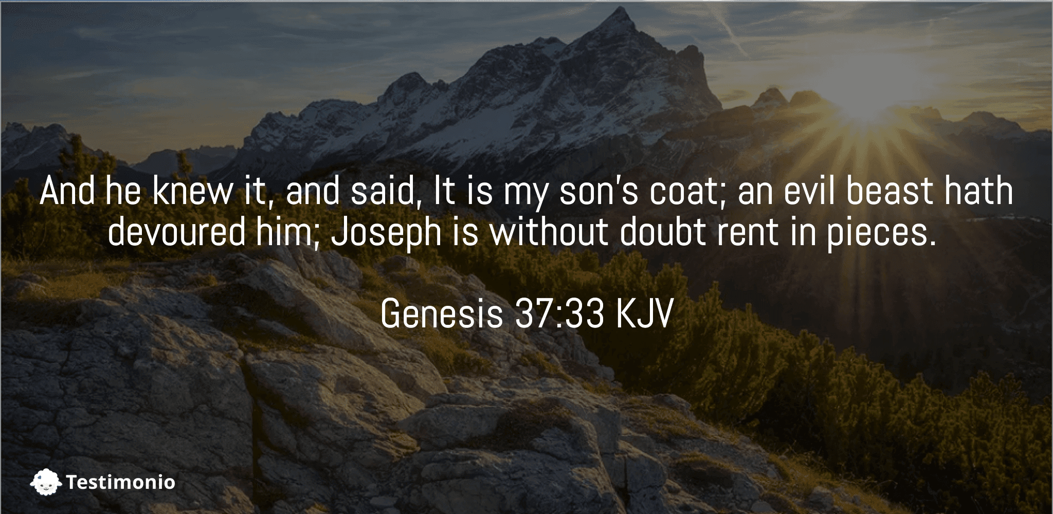 Genesis 37:33