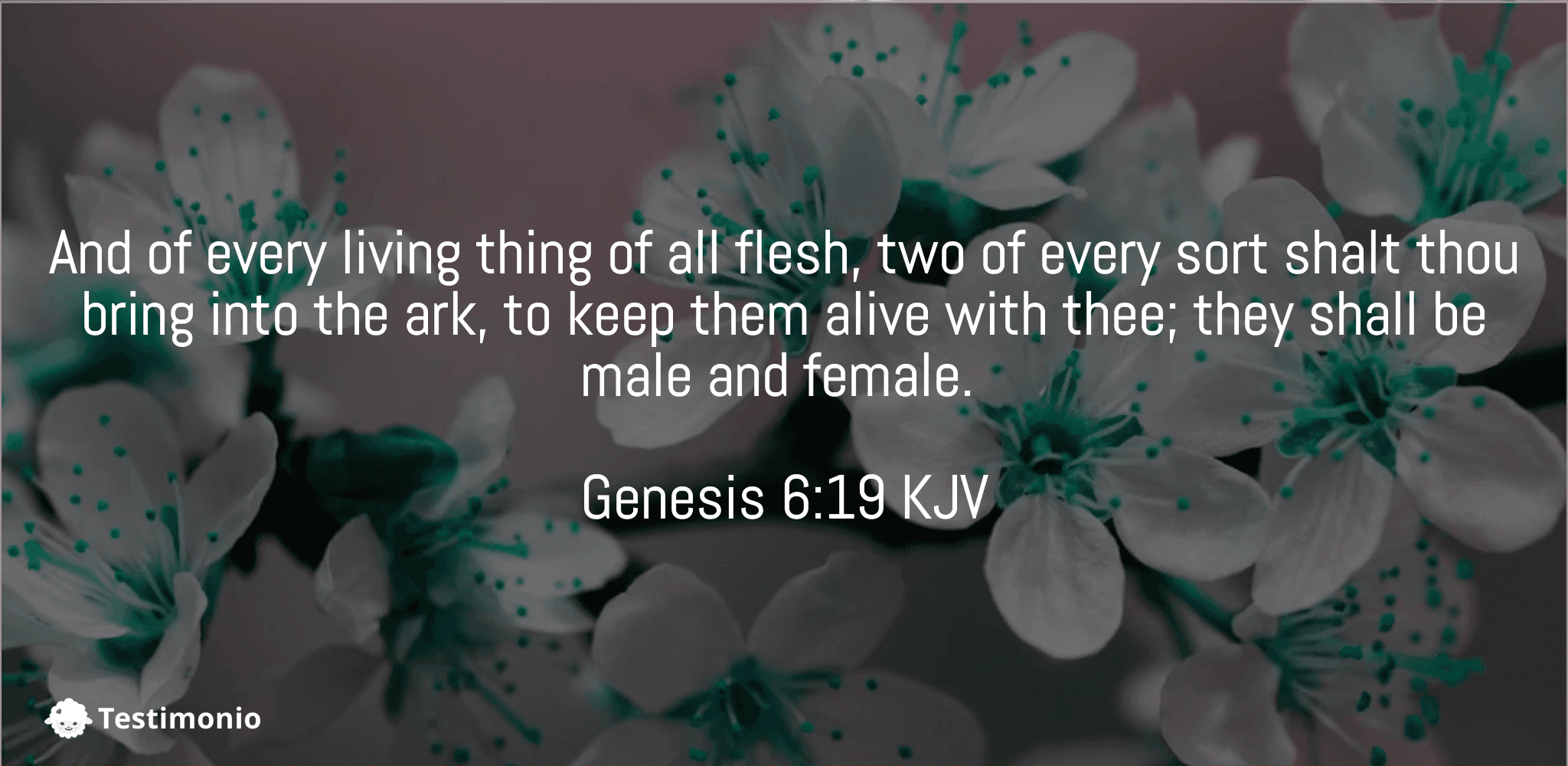 Genesis 6:19