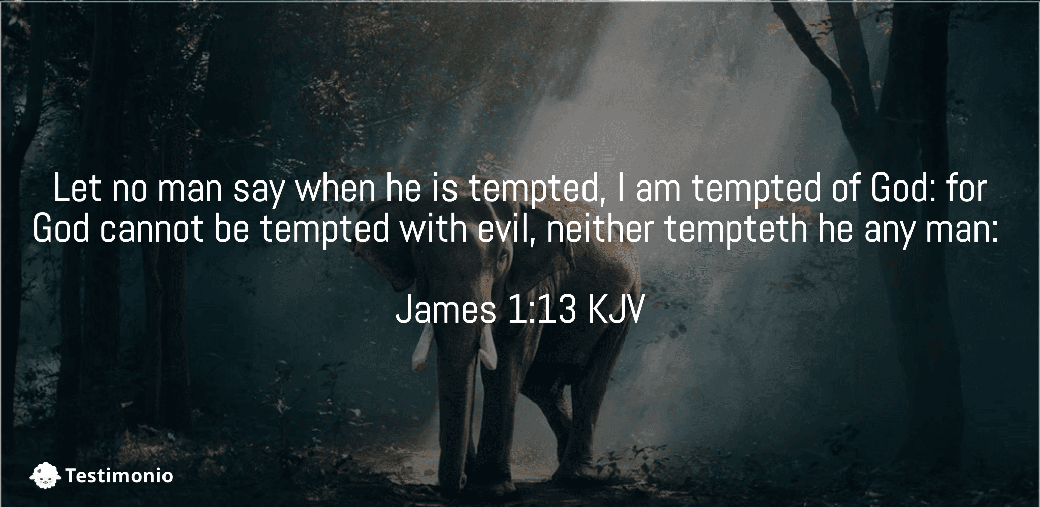 James 1:13