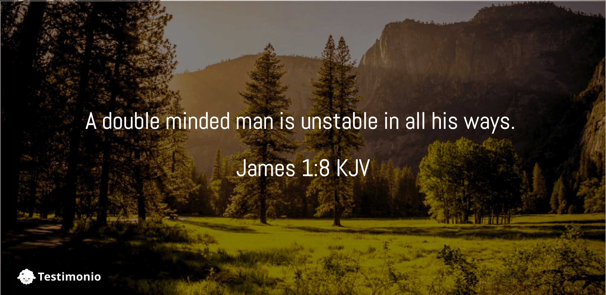 James 1:8