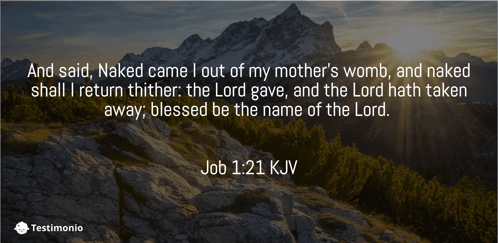 Job 1:21