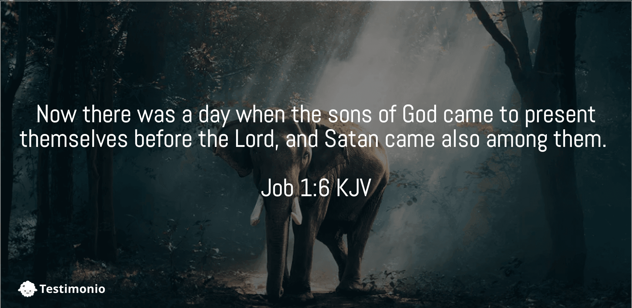 Job 1:6