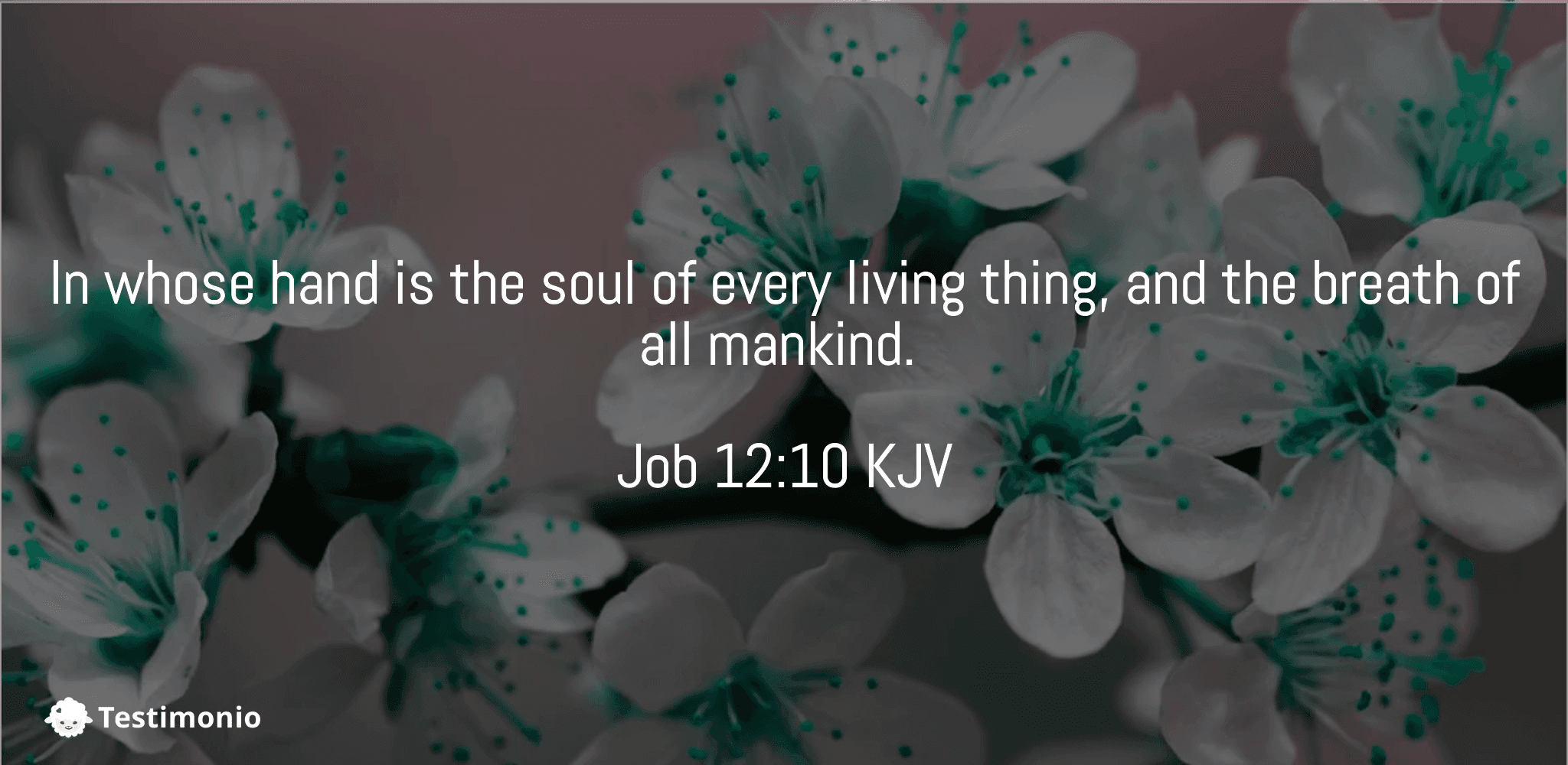 Job 12:10