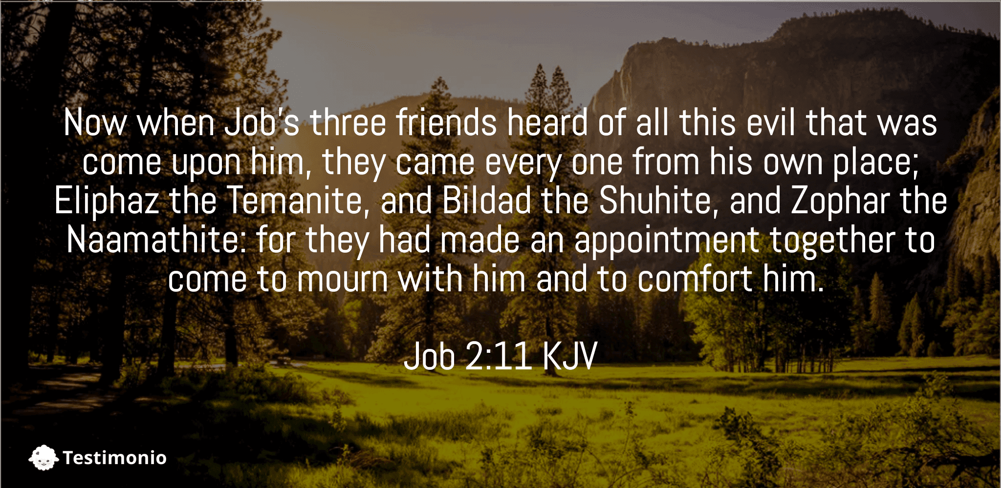 Job 2:11