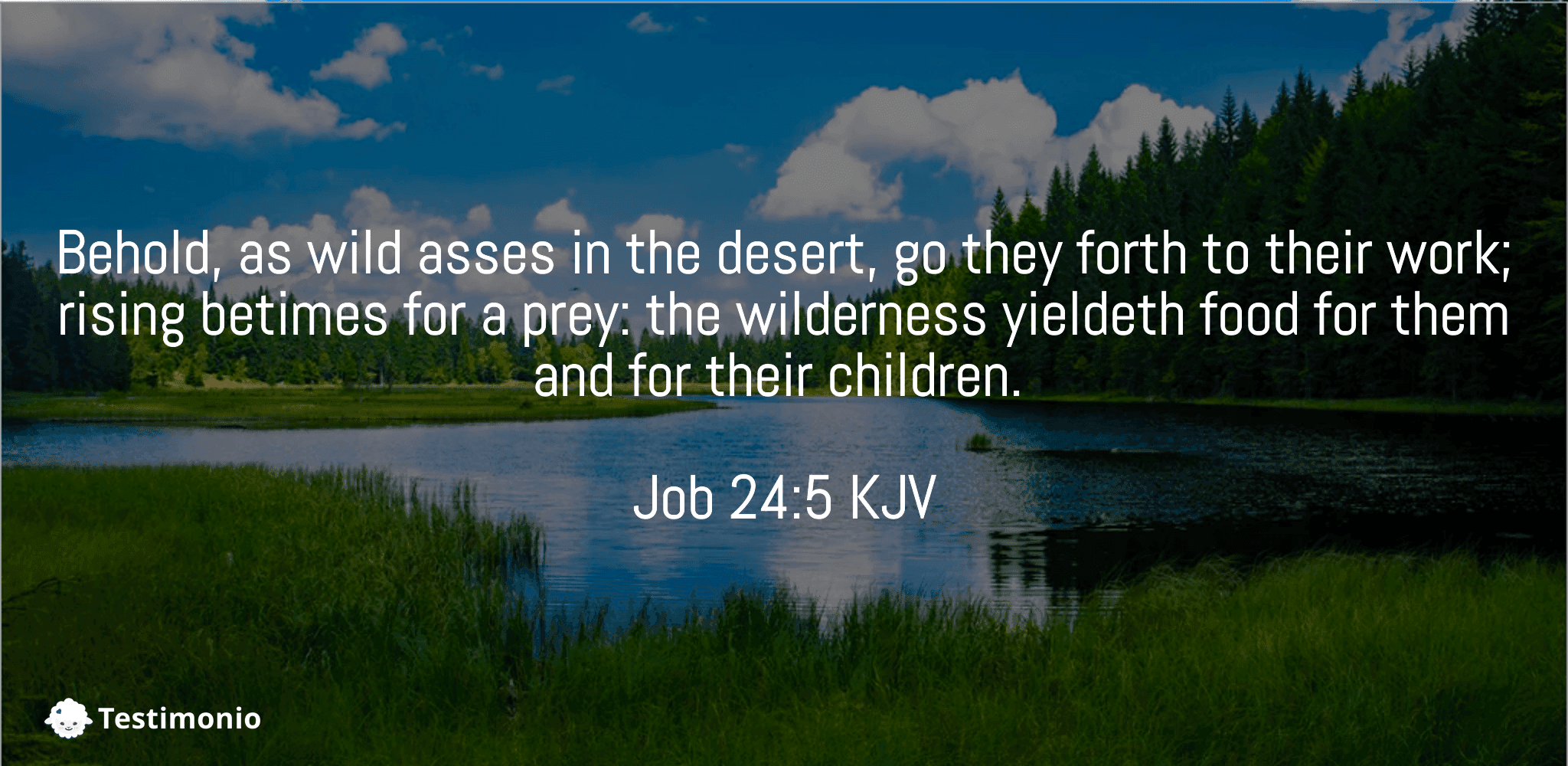 Job 24:5