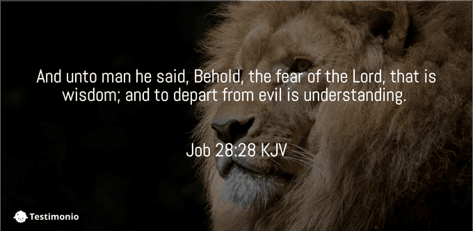 Top 28 Powerful Bible Verses About the Fear of God - Testimonio