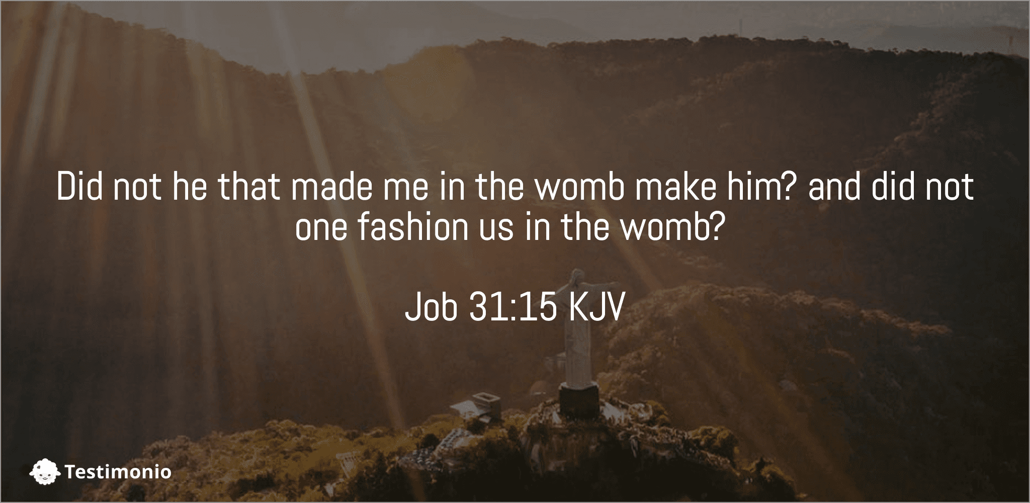 Job 31:15