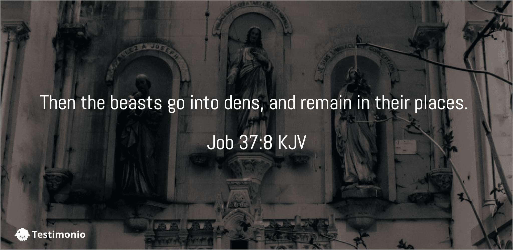 Job 37:8