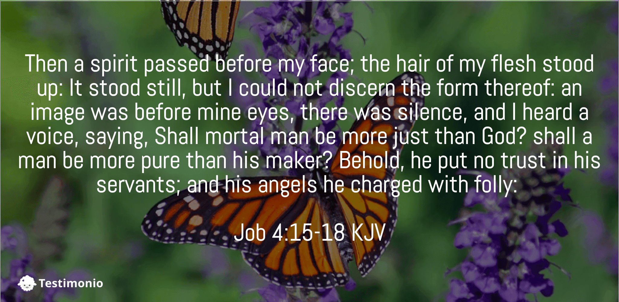 Job 4:15-18