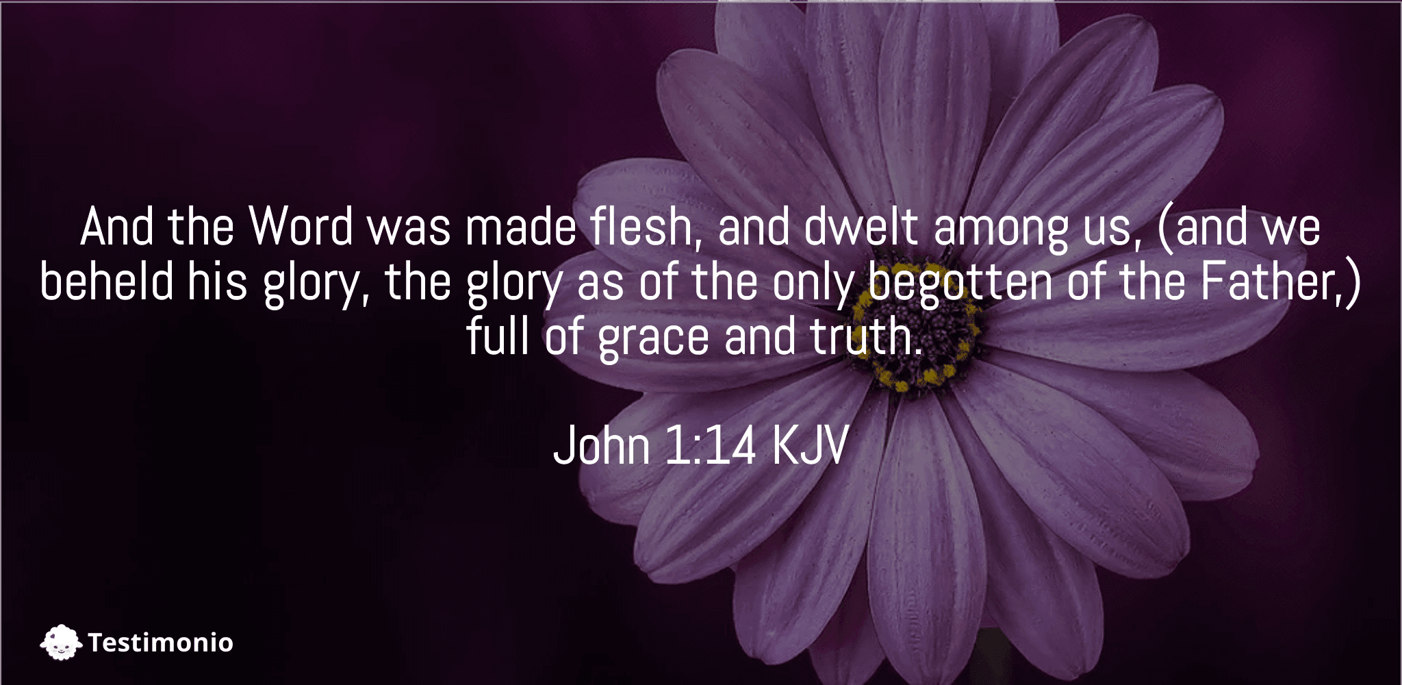 John 1:14